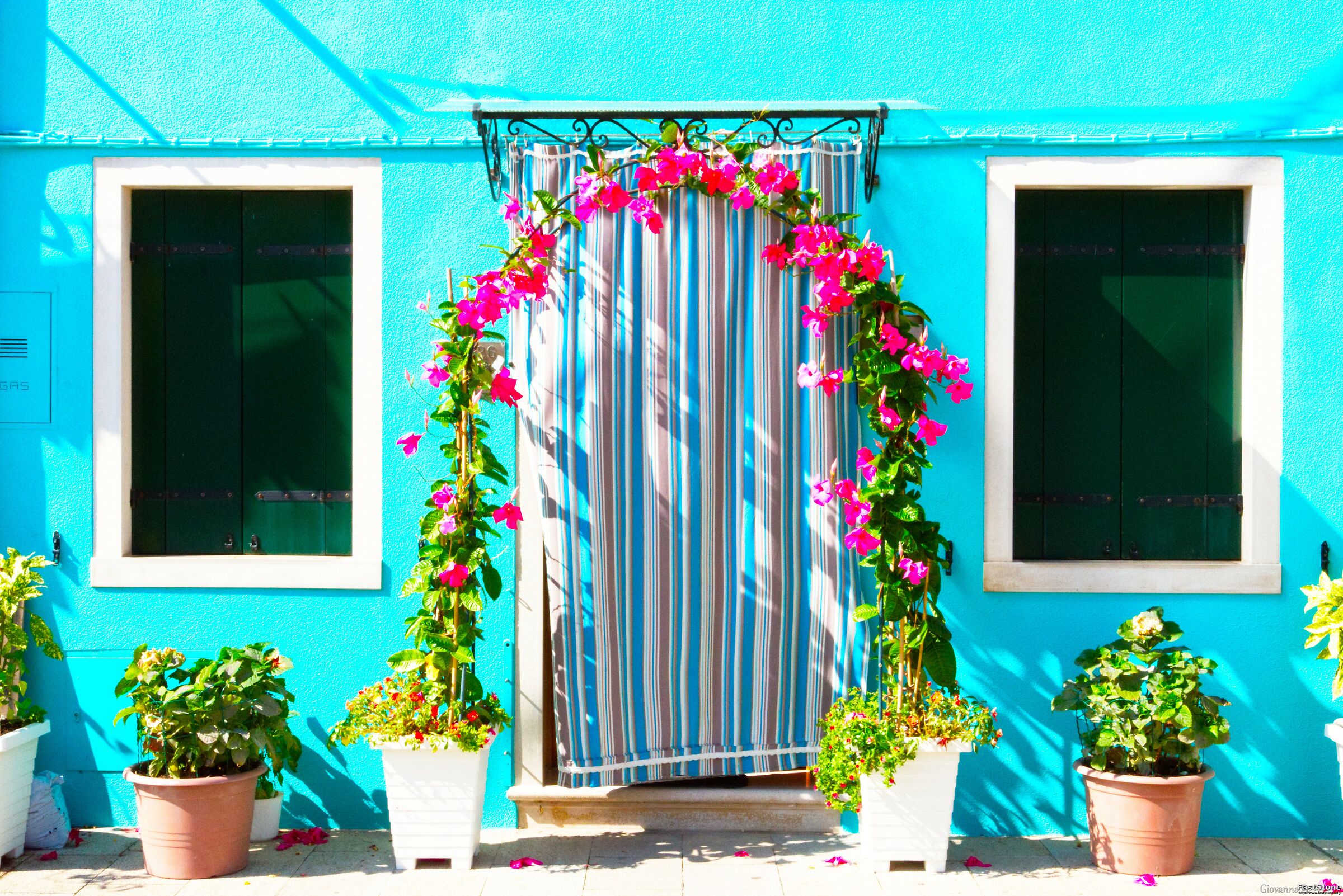 Colori, fiori ed aperture