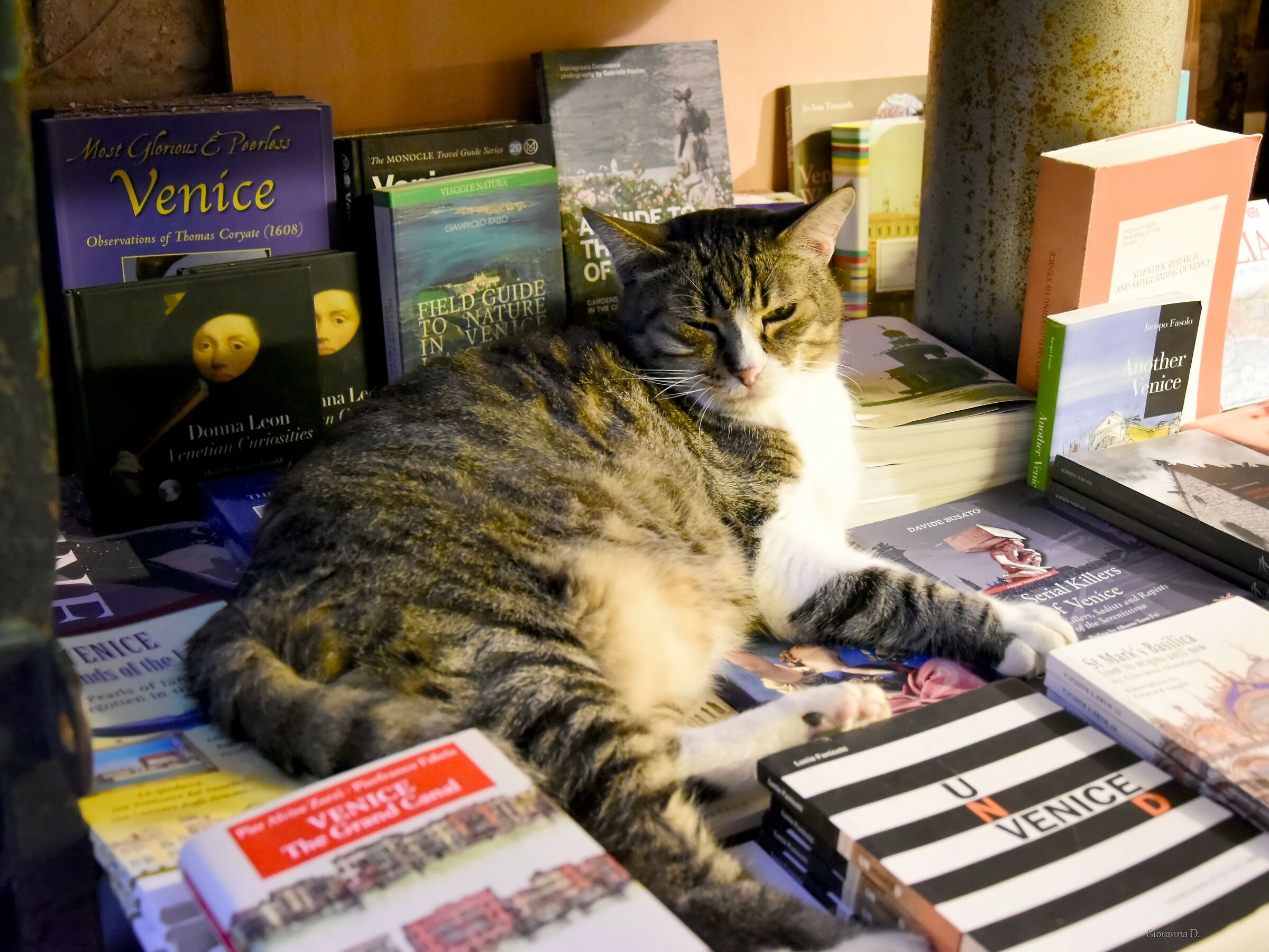 Libreria Acqua Alta Parte 1