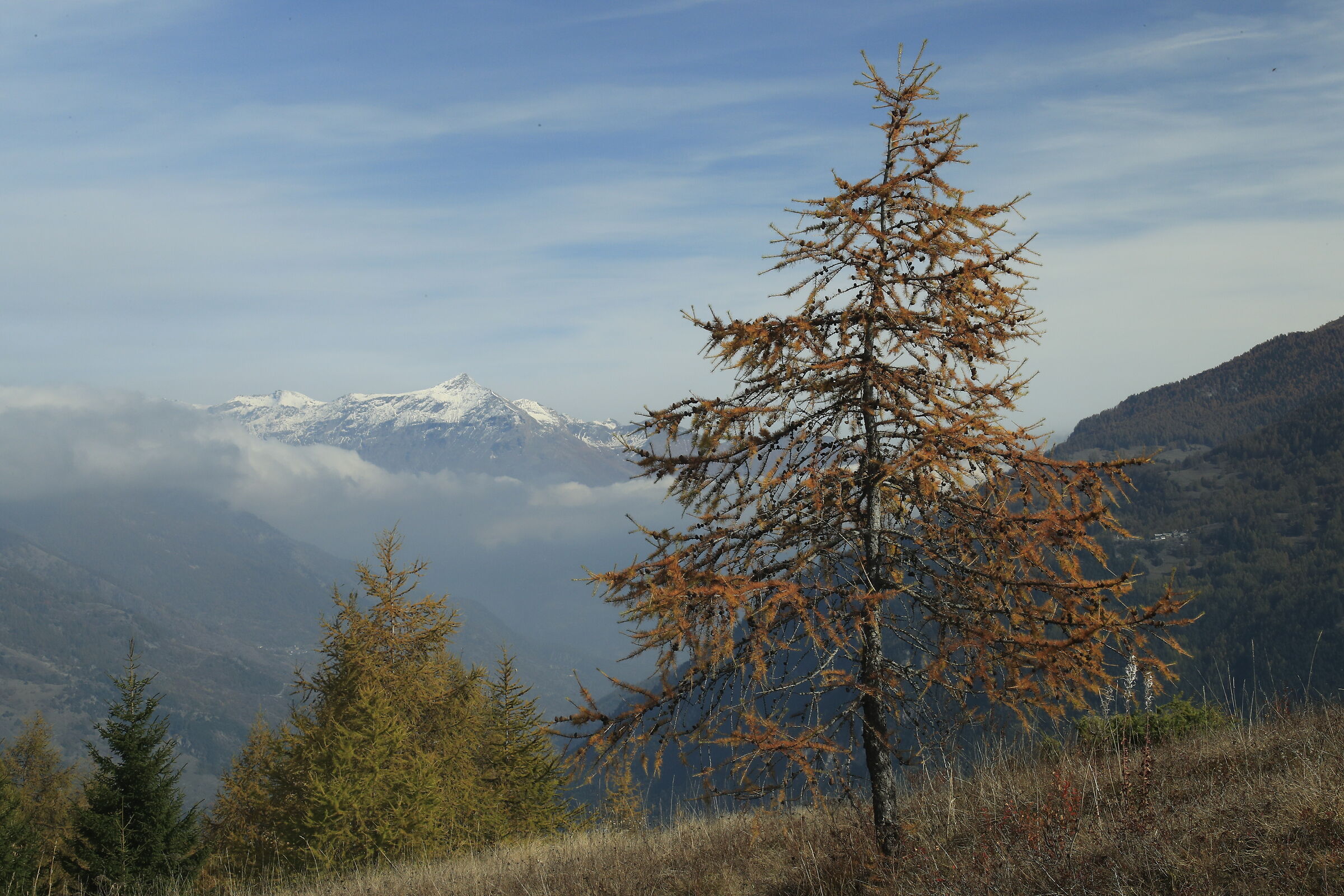 Alta Val Susa presso Vason