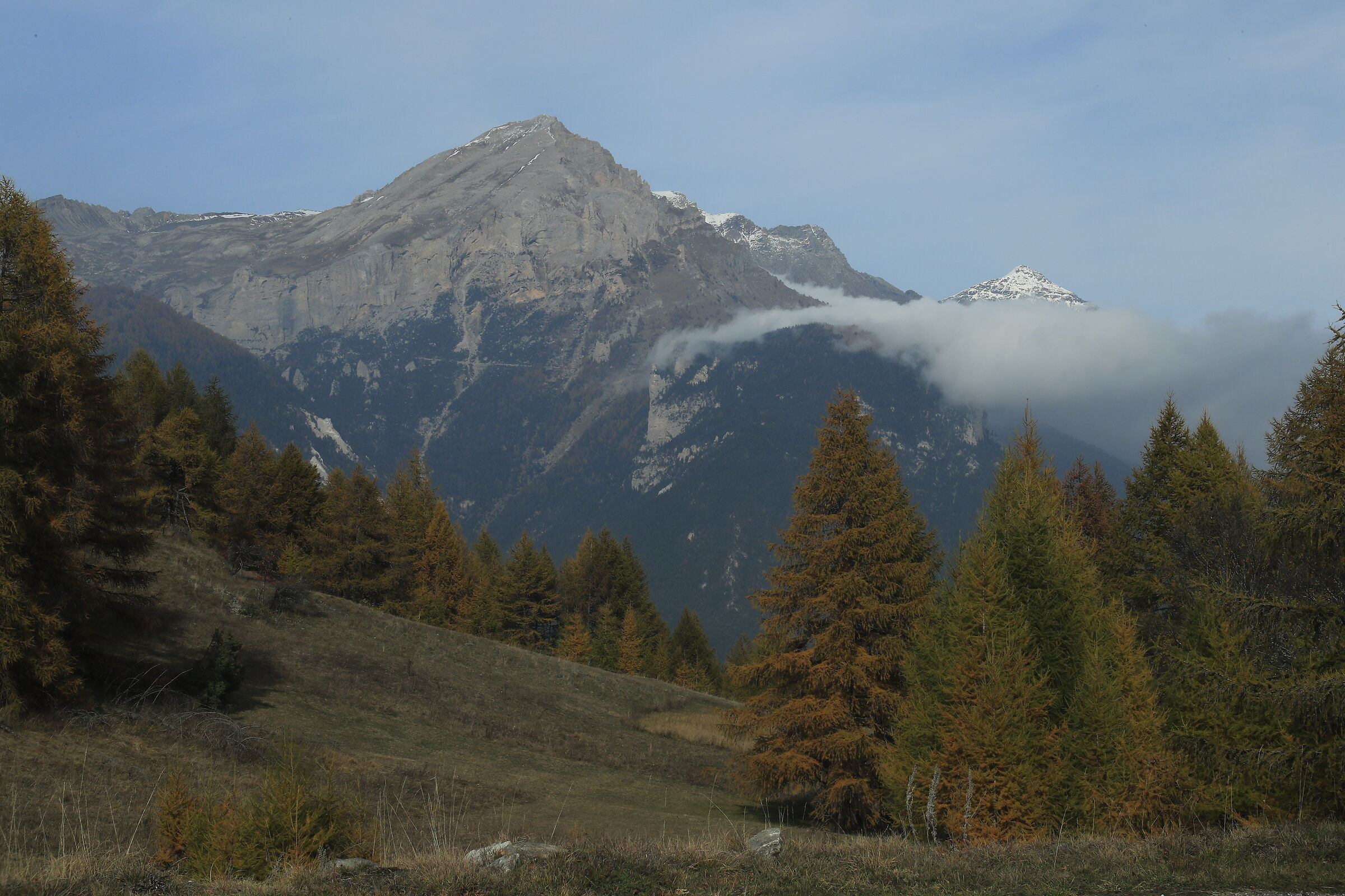Alta Val Susa presso Vason -  scorcio sul Seguret