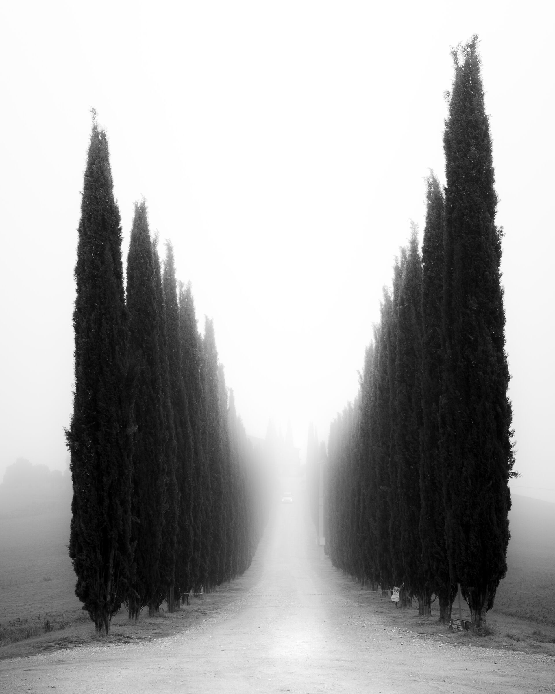 Fog