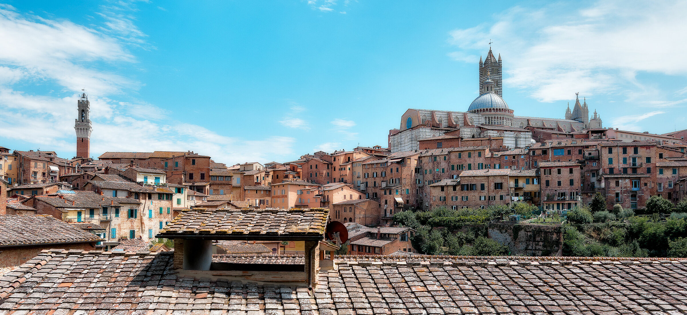 Siena from the roof