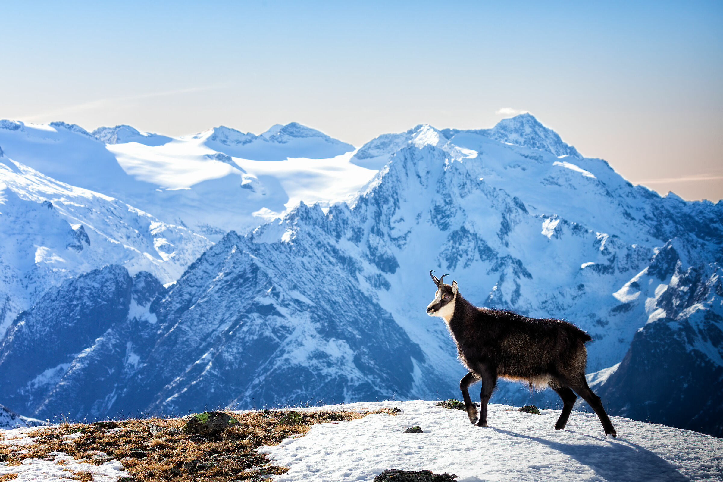 The unparalleled painting of nature