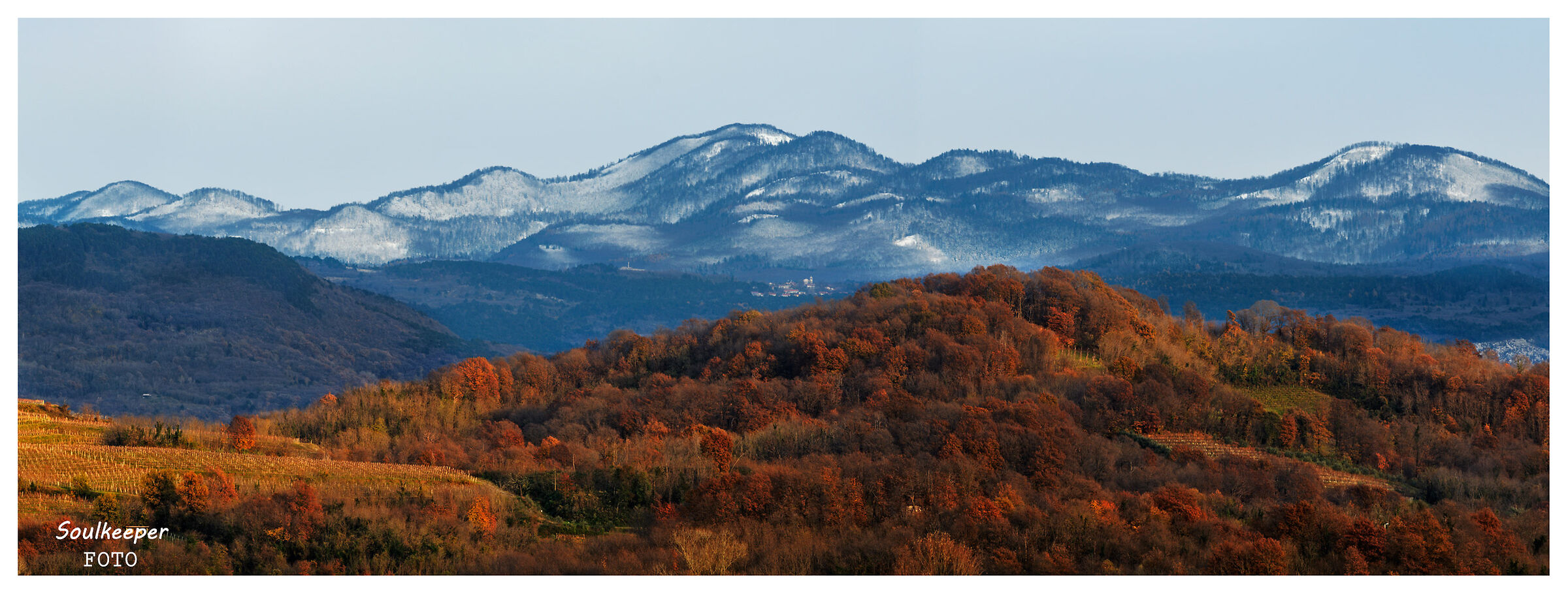 Duality. Between autumn and winter.