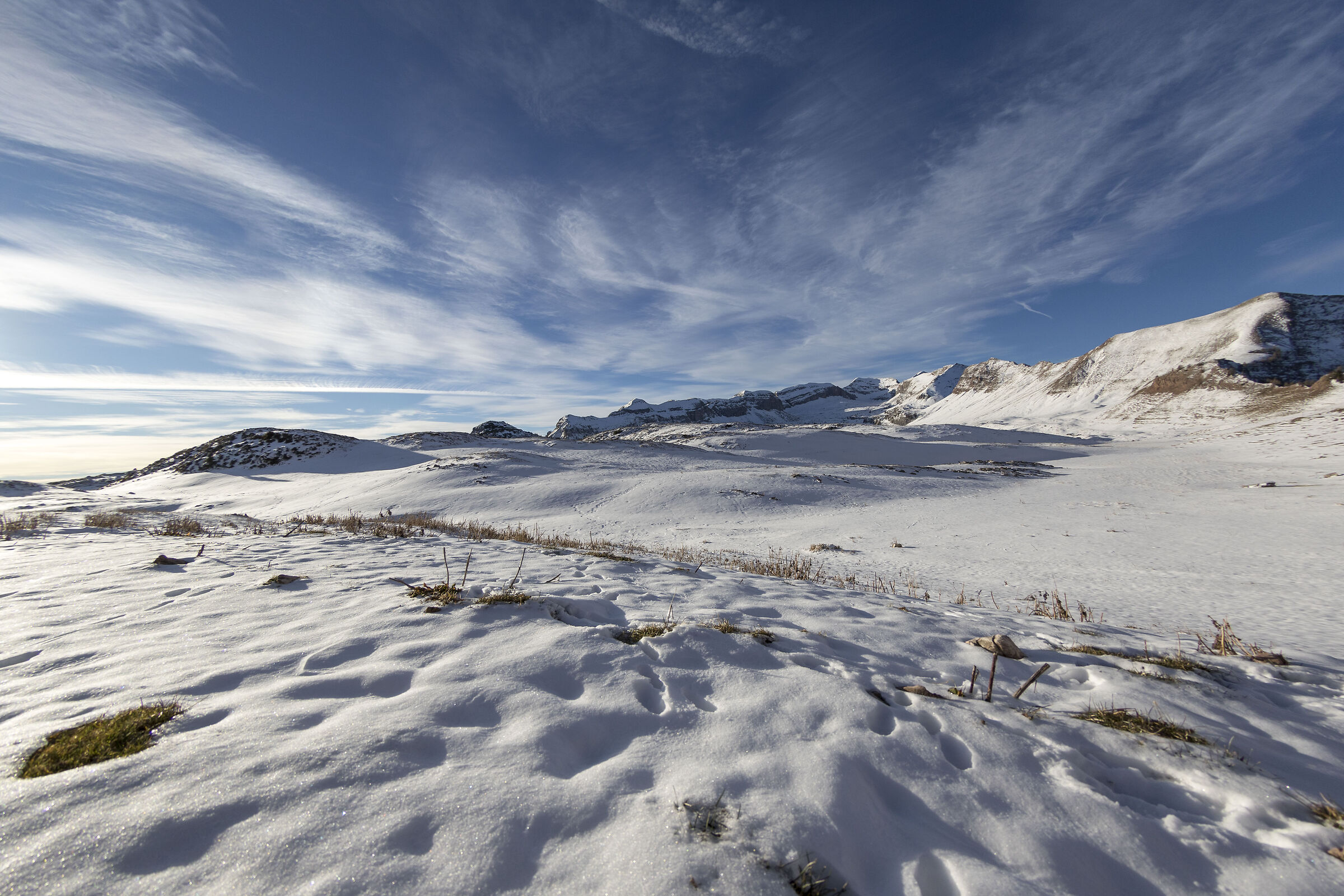 Il silenzio della natura