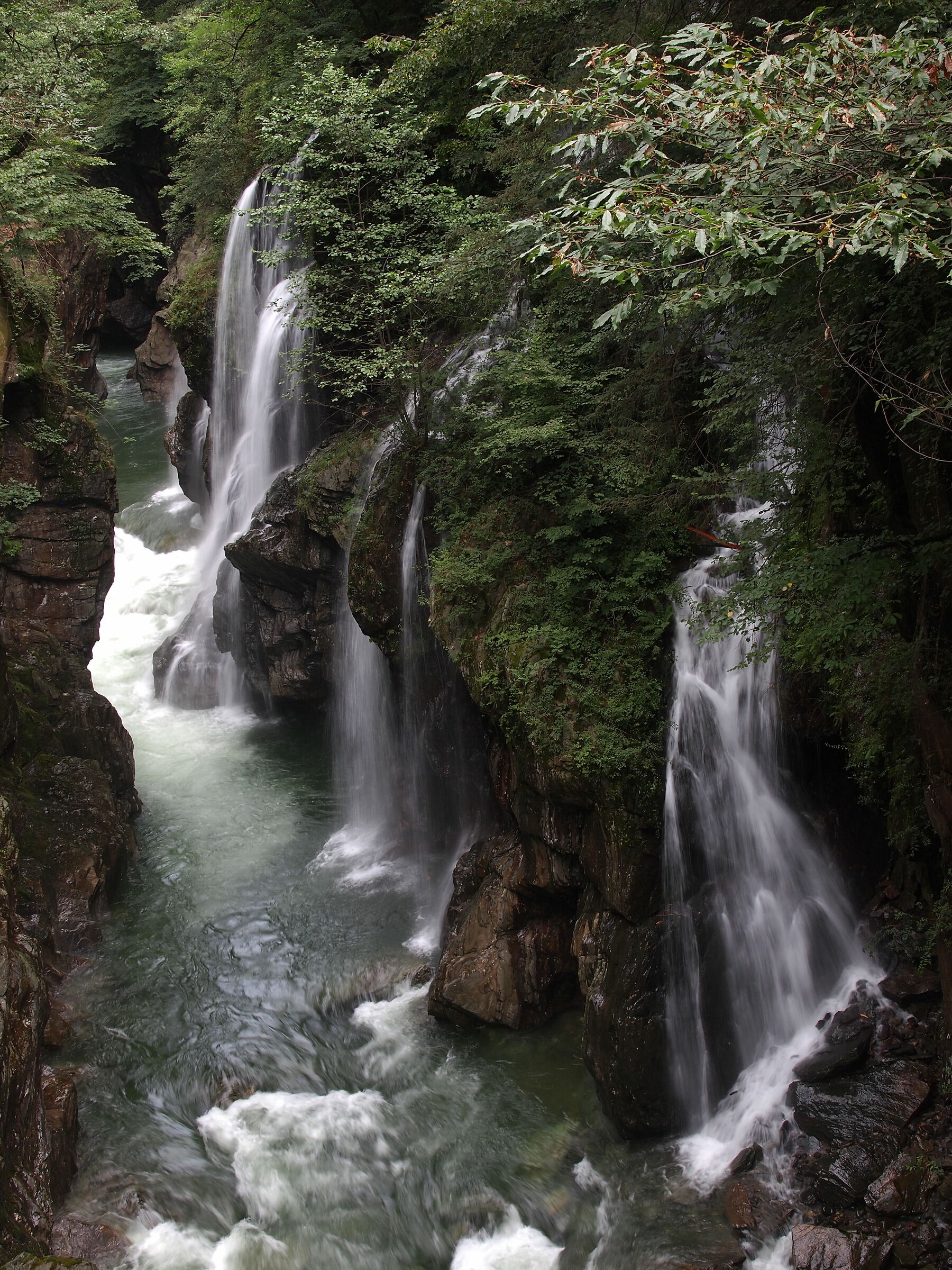 San Bernardino Stream