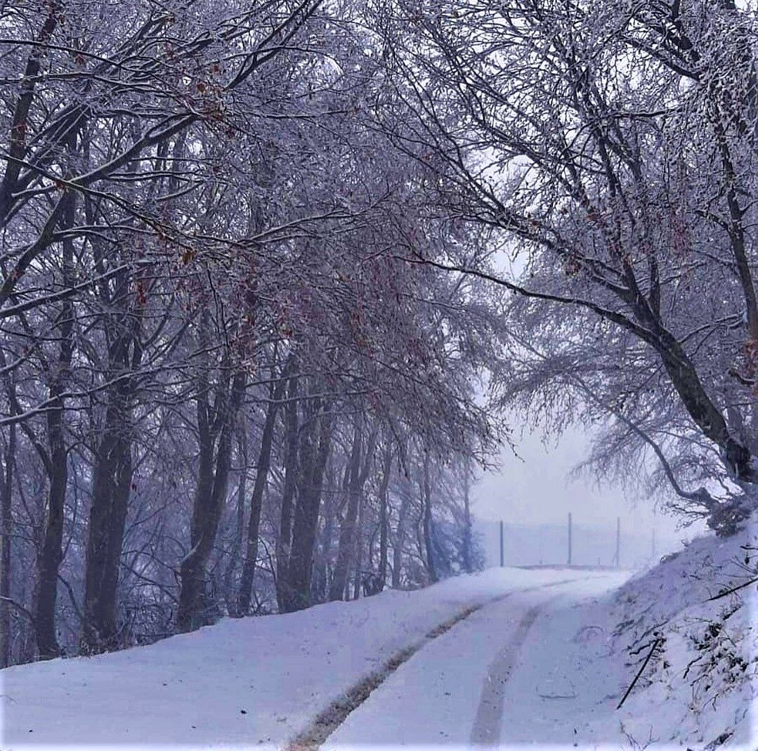 Nevicata sopra Macerata...