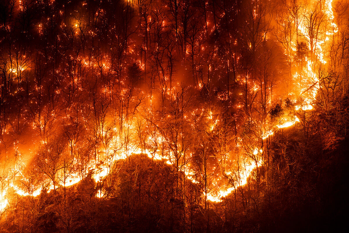 Il terribile fascino del fuoco