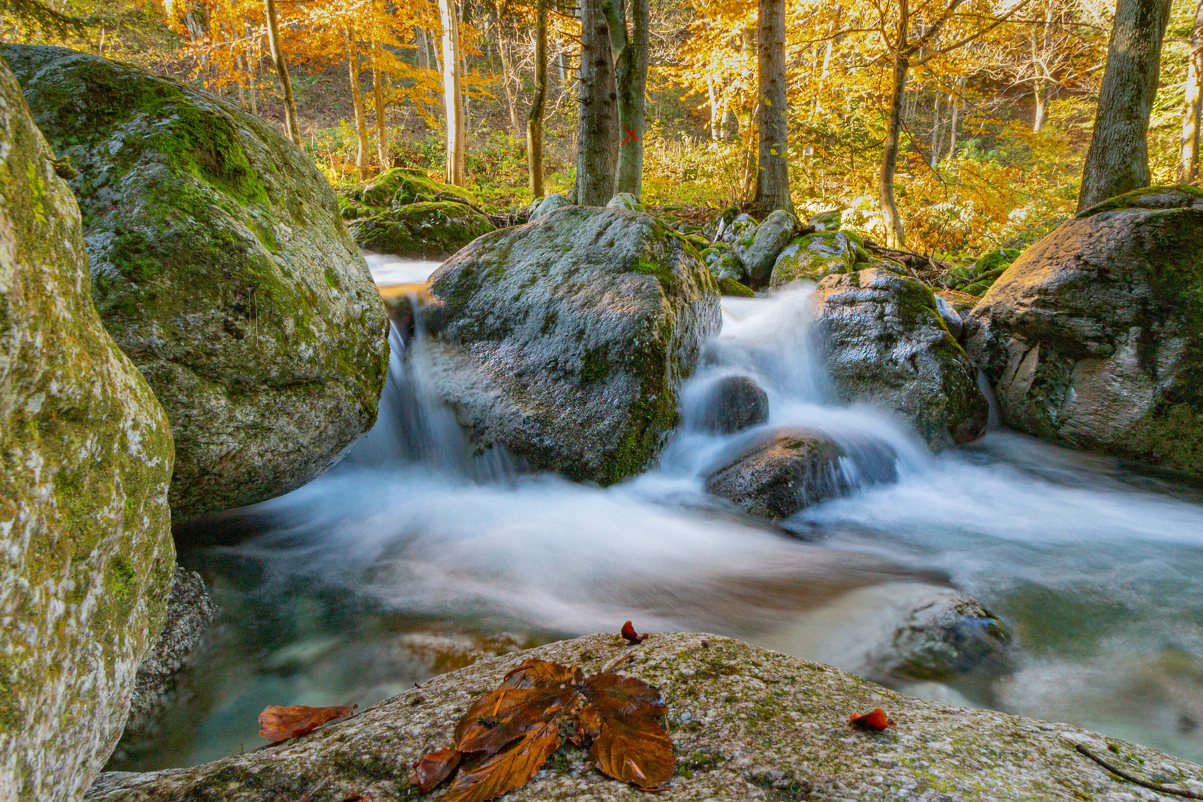 Stream in Pian delle Gorre