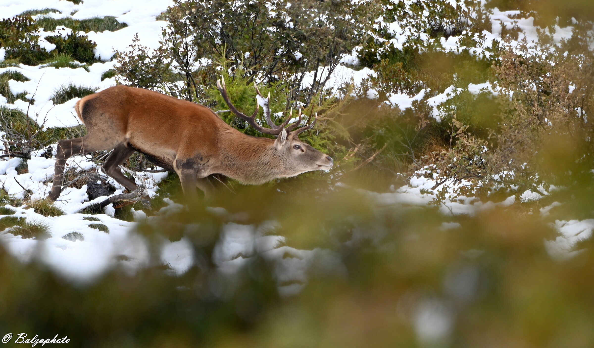 Sorry to walk past you