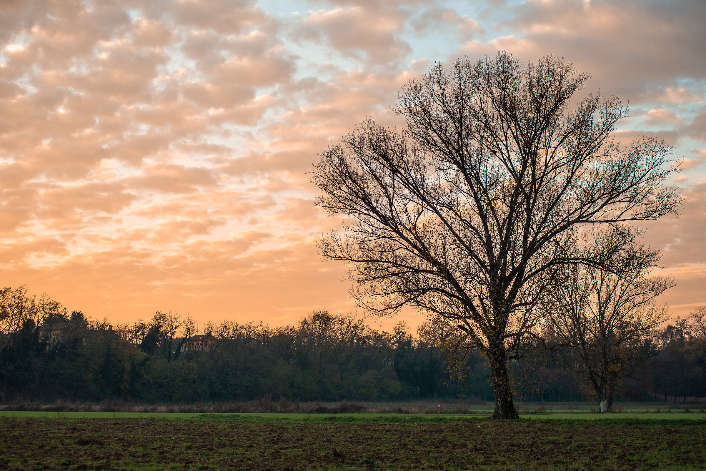 Tramonto sulla bassa Lodigiana