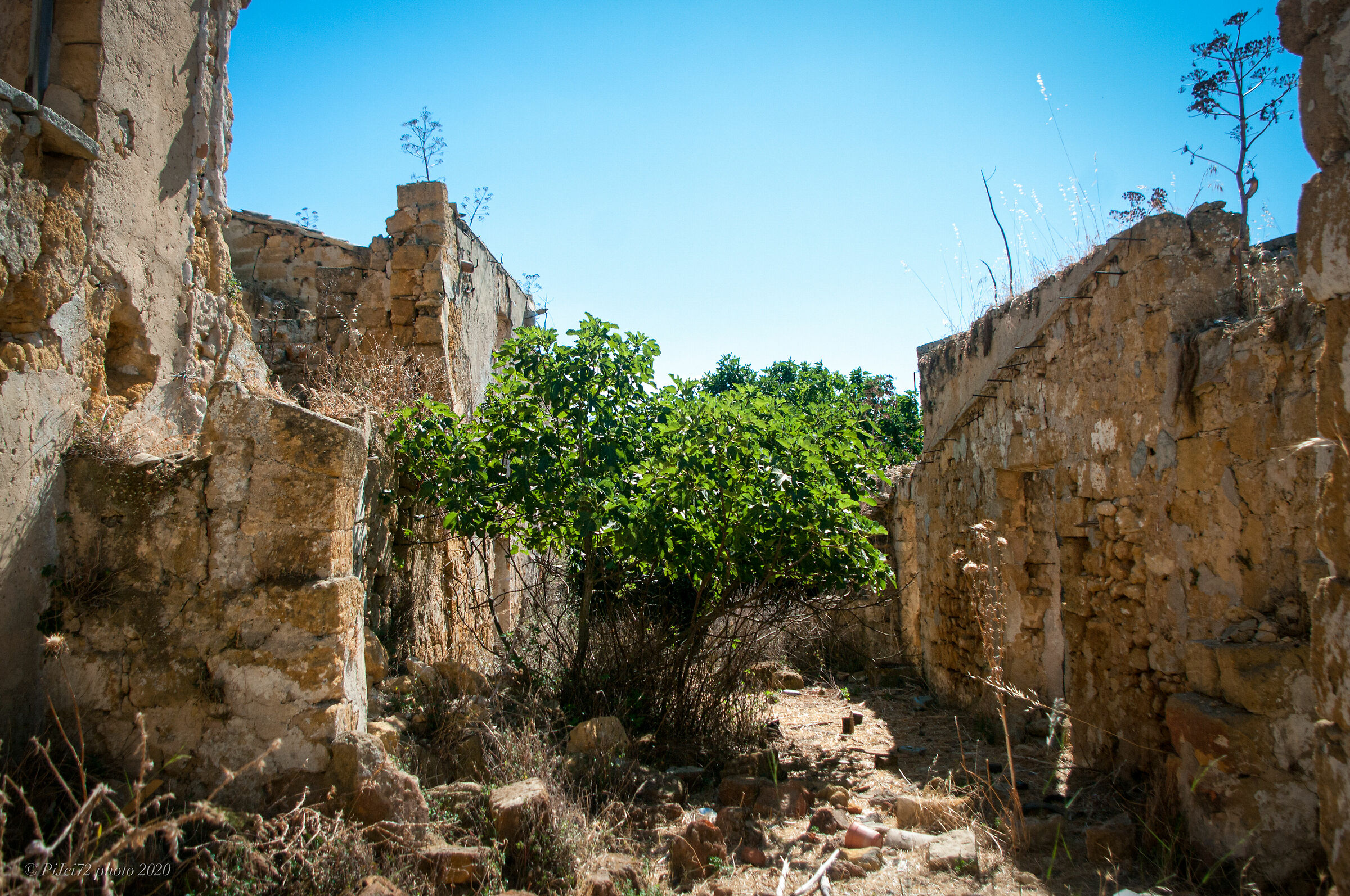 Santa Margherita in Belice - Rovine 11