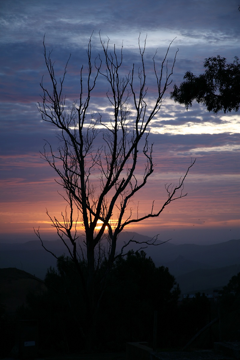 Alba Mazzarinese Dicembre  2009