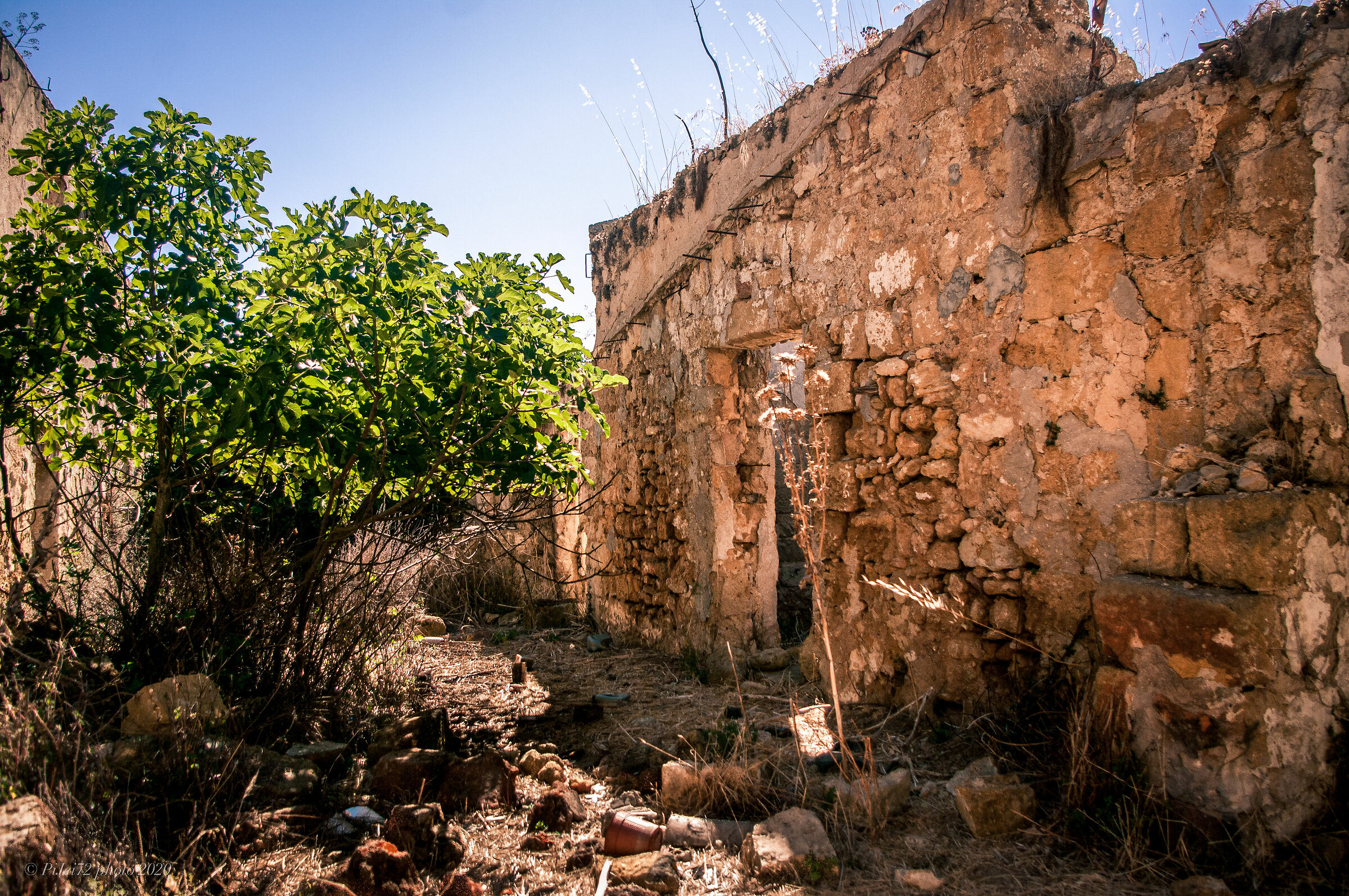 Santa Margherita in Belice - Rovine 28