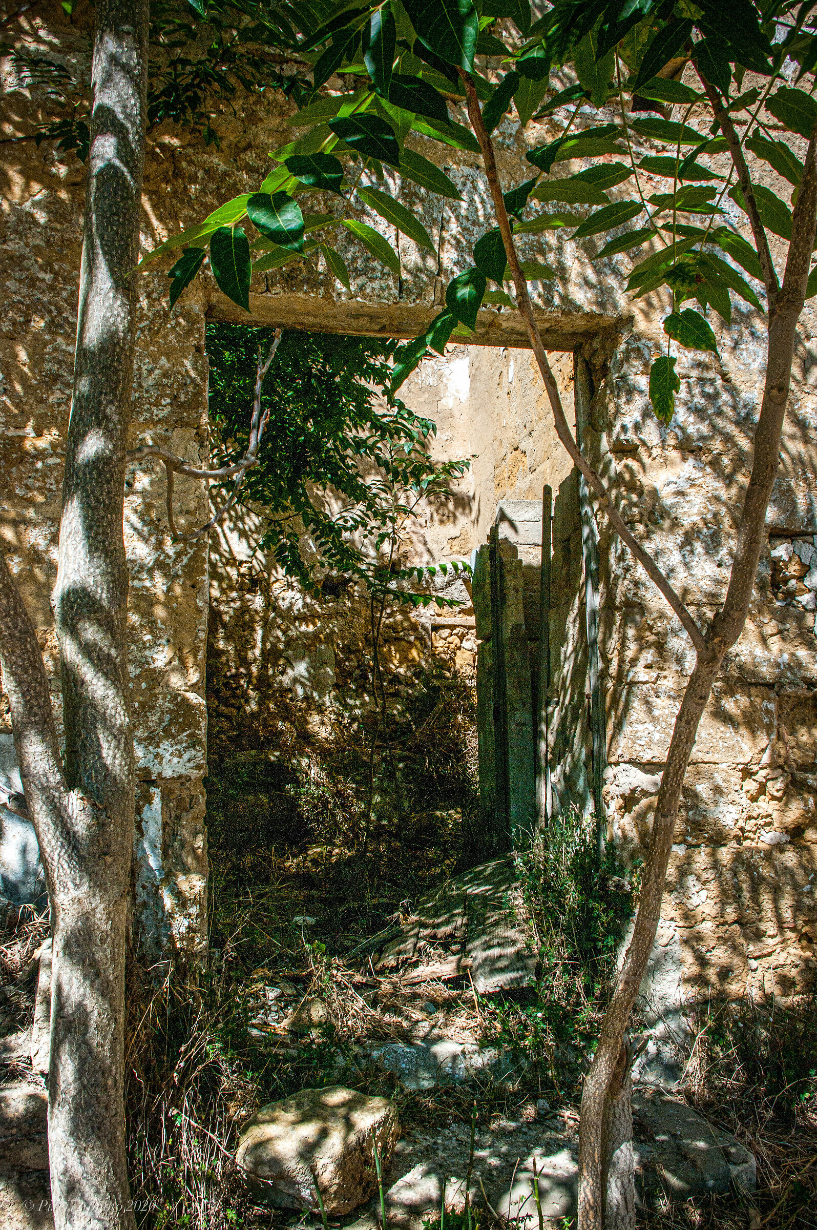 Santa Margherita in Belice - Rovine 54
