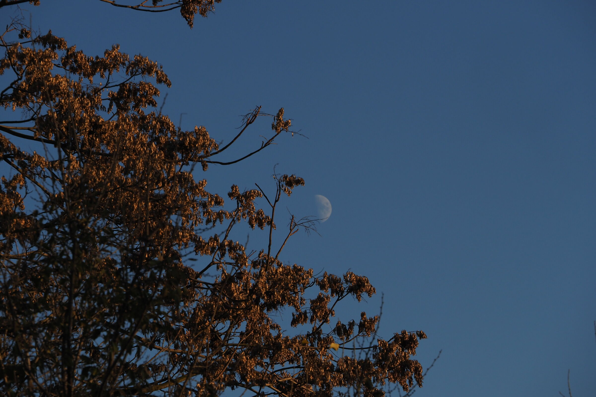 e la luna fa capolino...