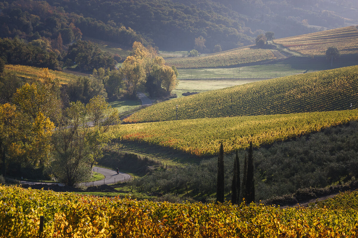 Walking in Chianti ...