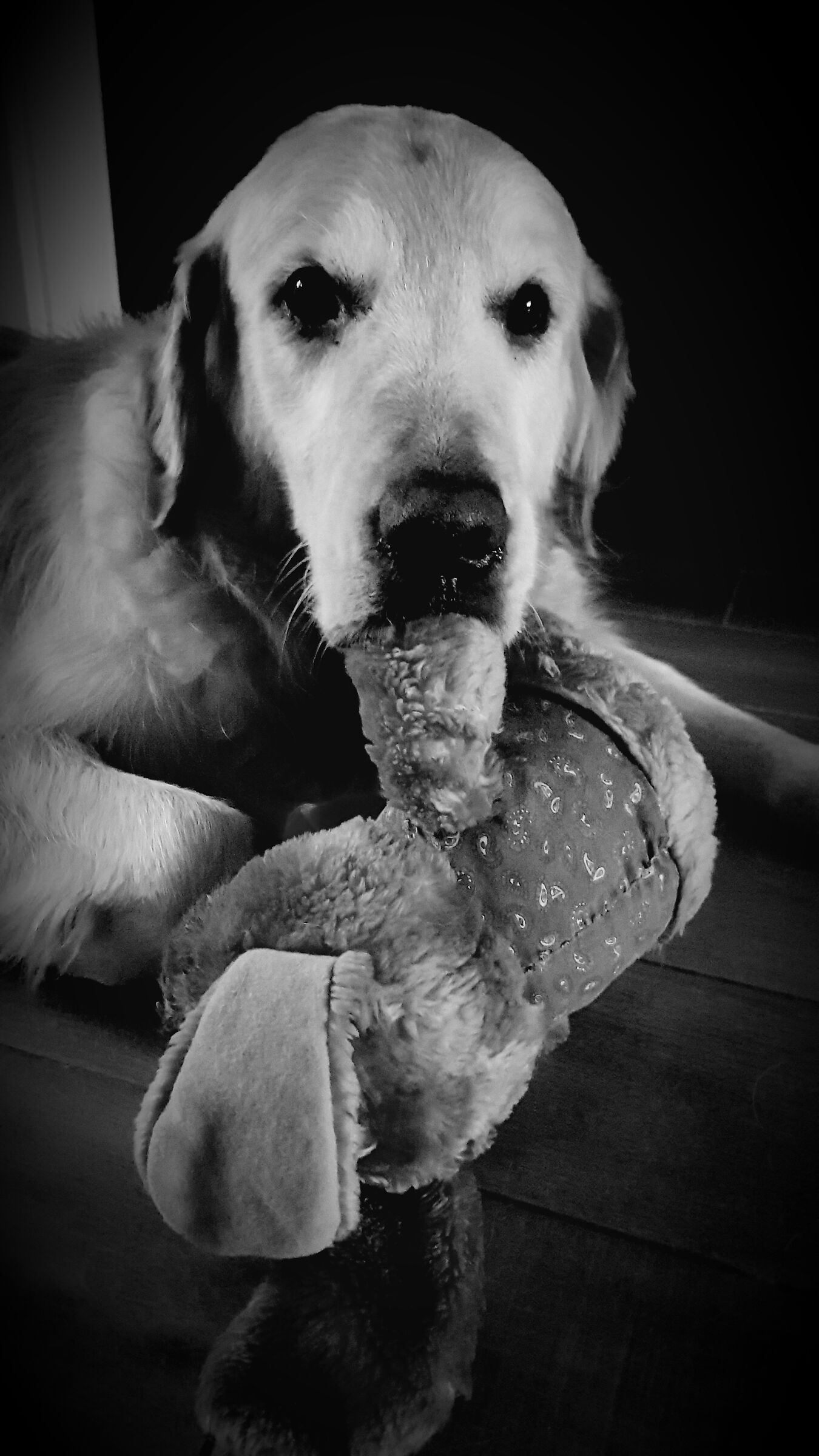 With the bear friend