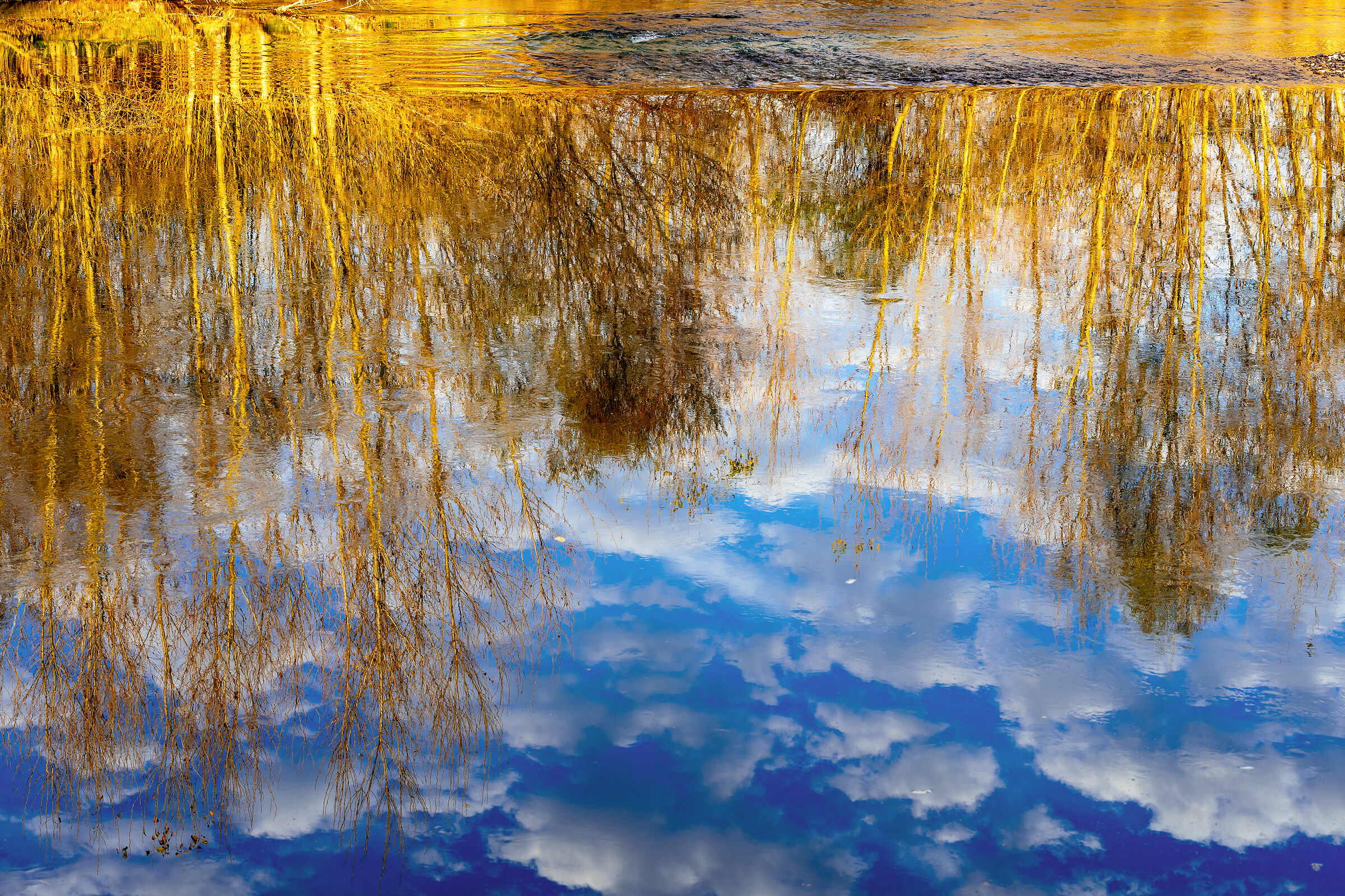 Il mio fiume sottosopra