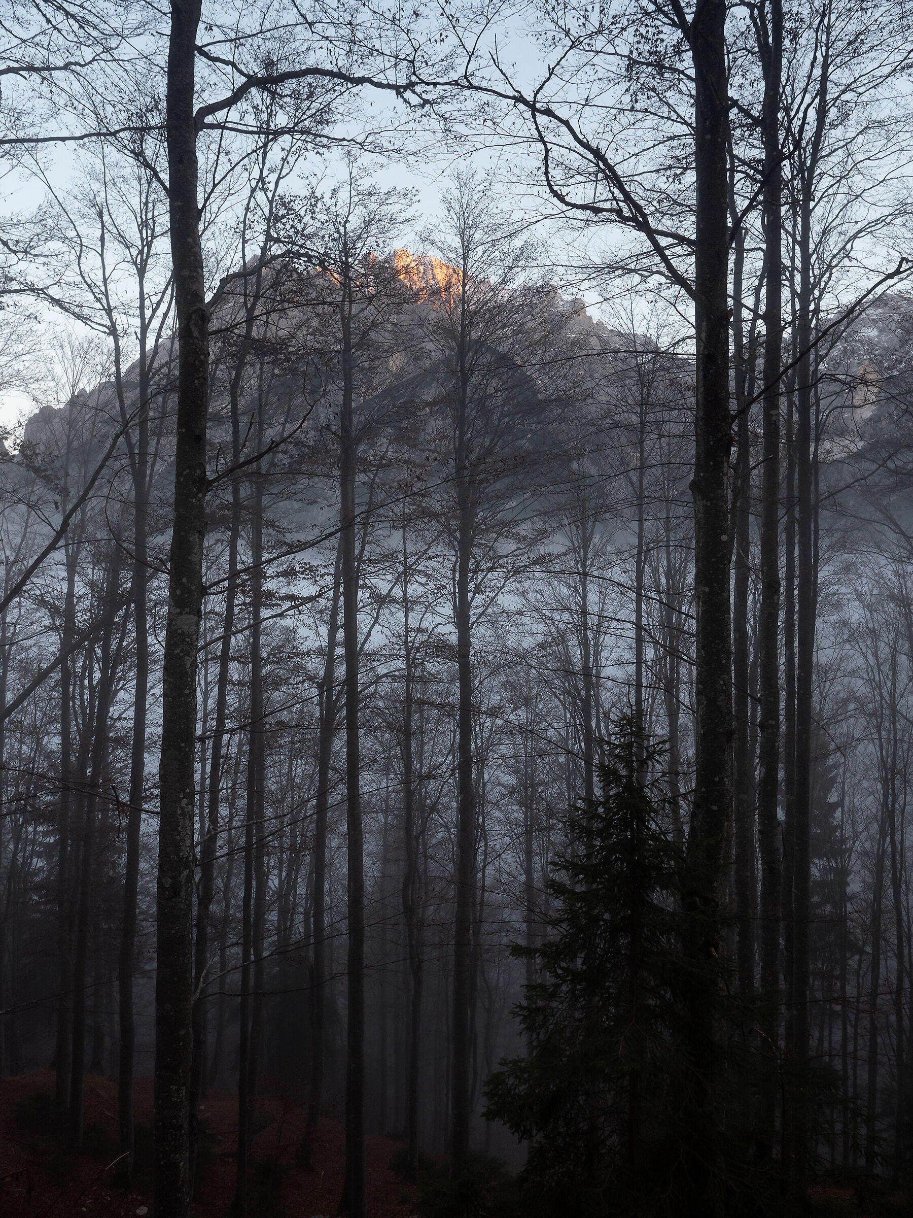Sale la nebbia in Val Saisera - Alpi Giulie - Italy