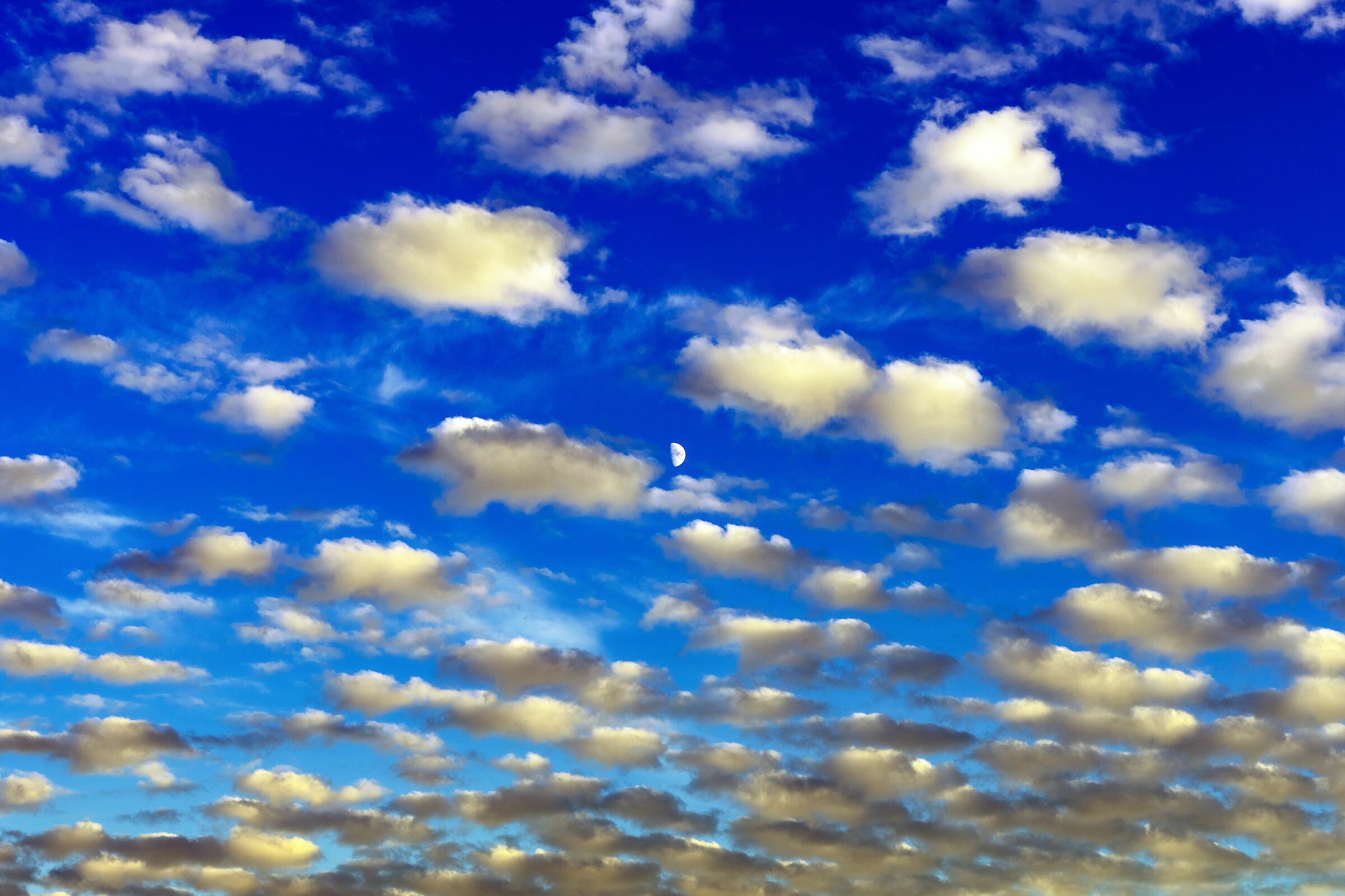 What are you doing, moon, in heaven? tell me, what are you d...