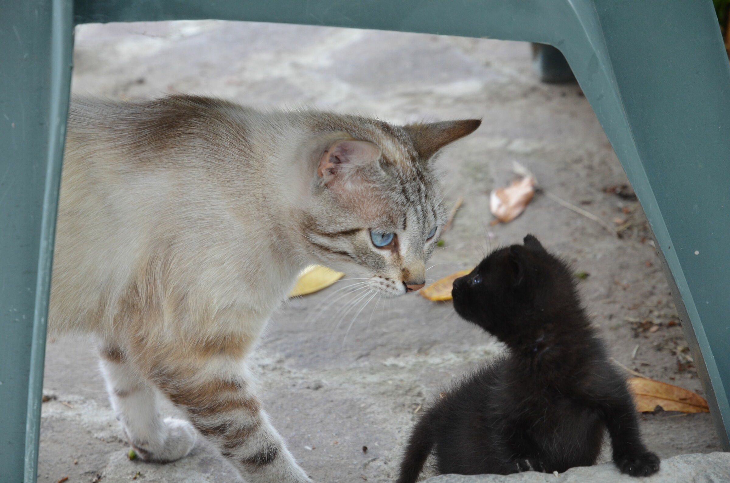 Un tocco magico, impercettibile.