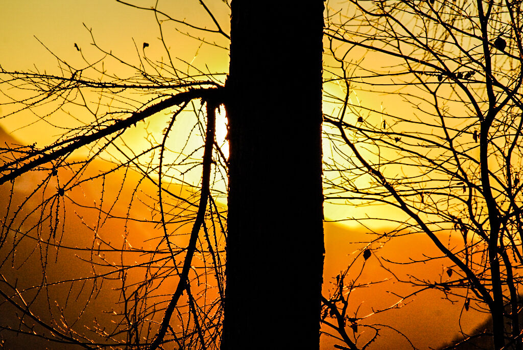 Untitled Photo