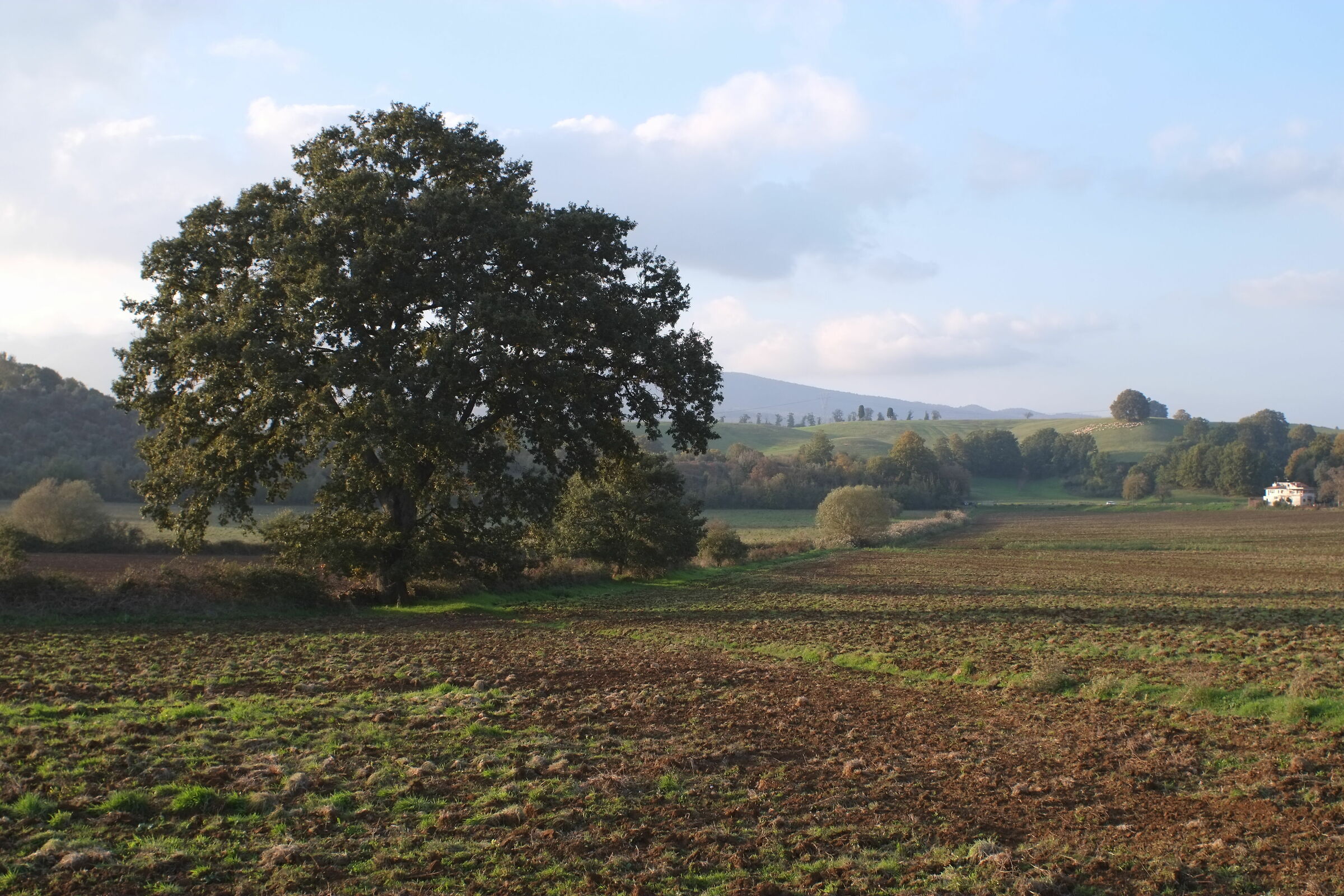 The Val d'Orcia... in Lazio