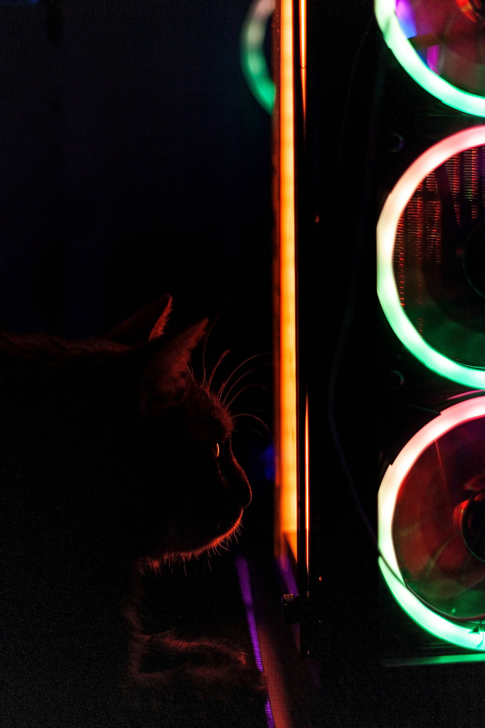 Cyberpunk Silhouette