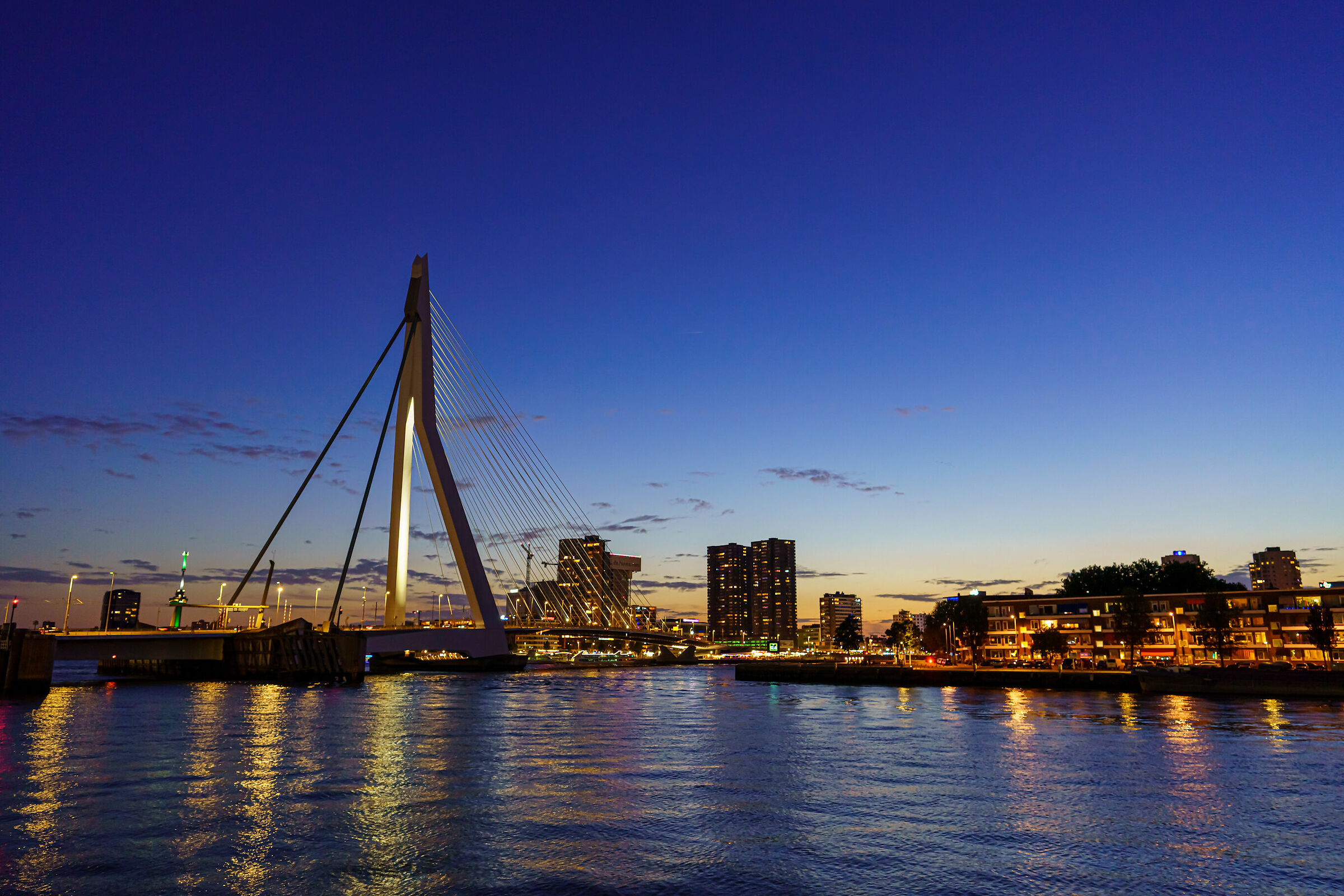 Rotterdam - Erasmusbrug