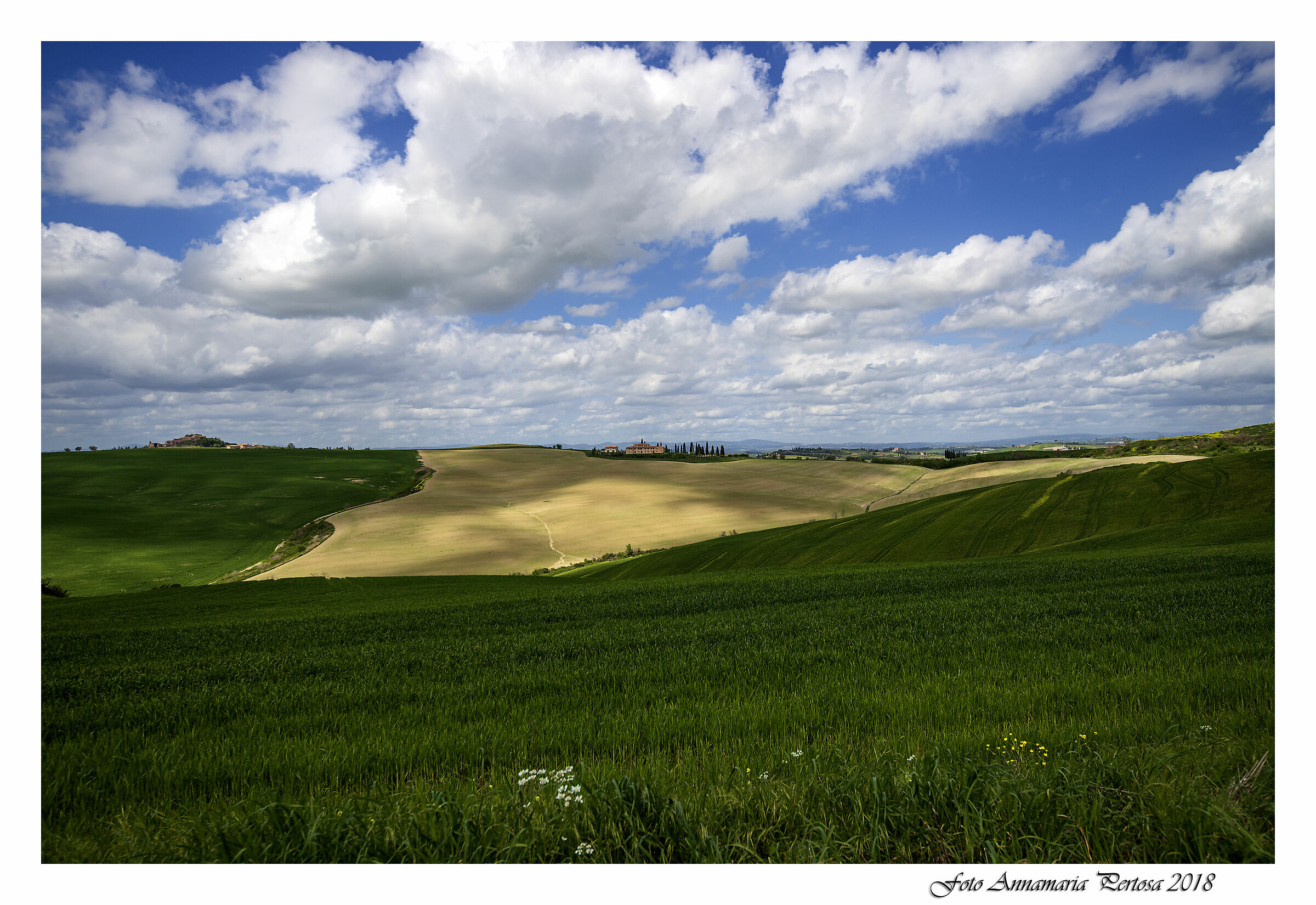 Bellezza senza tempo