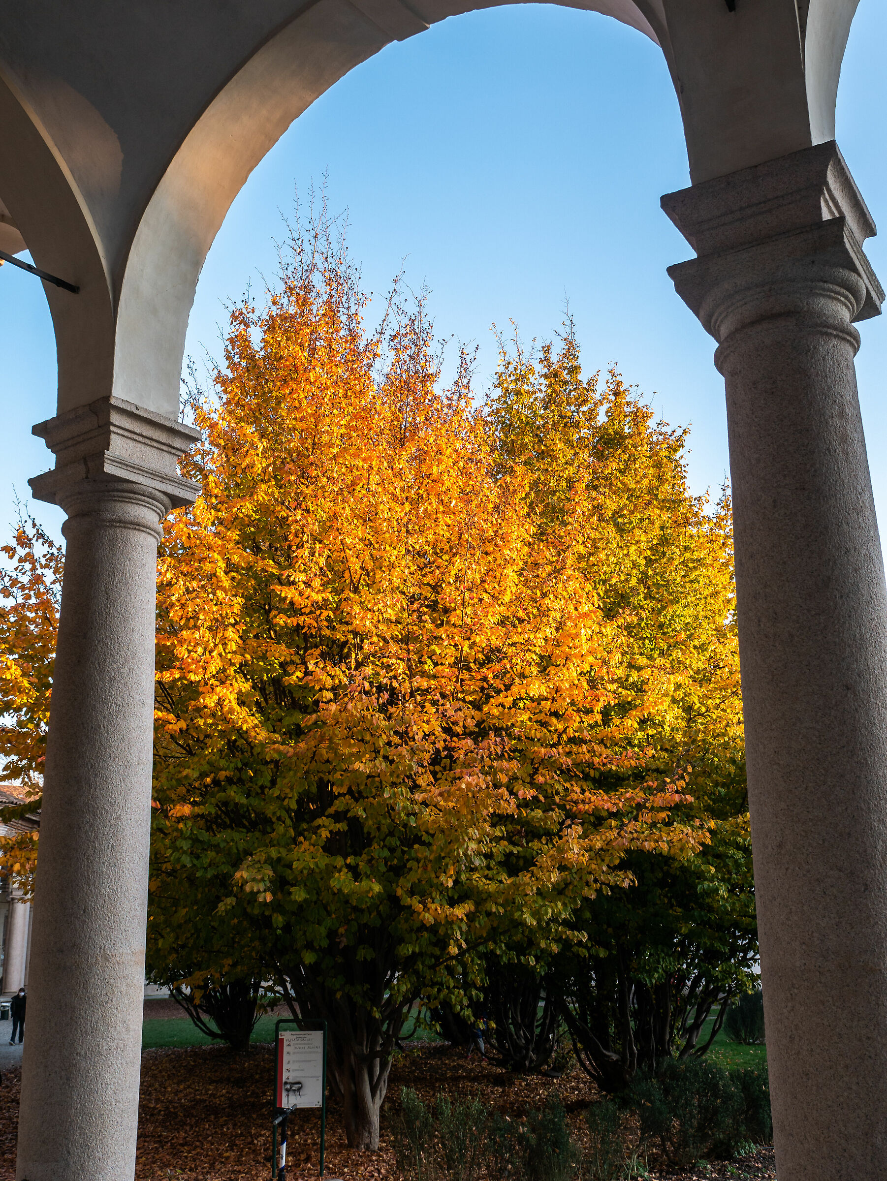 Rotonda Della Besana - Milan