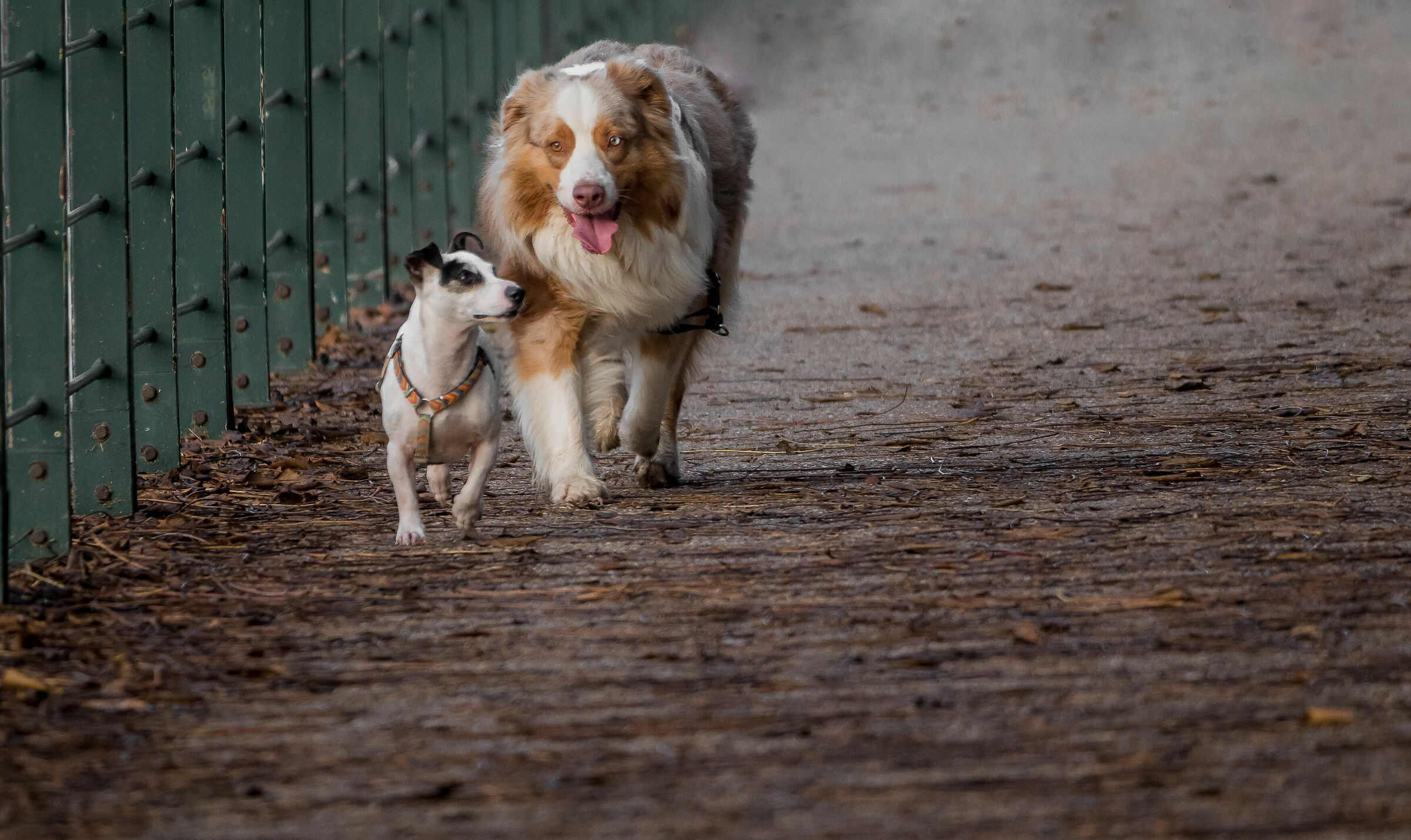 Then we agree you talk to him......