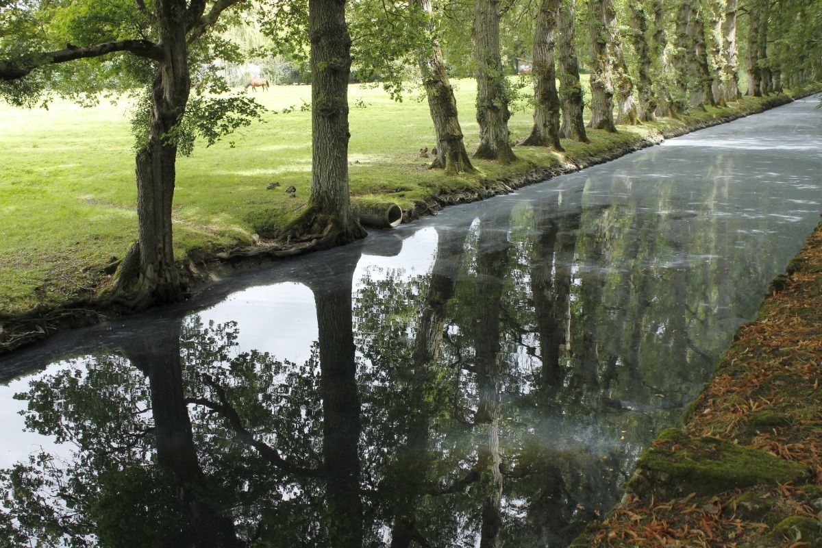 Riflessi su torrente oscuro