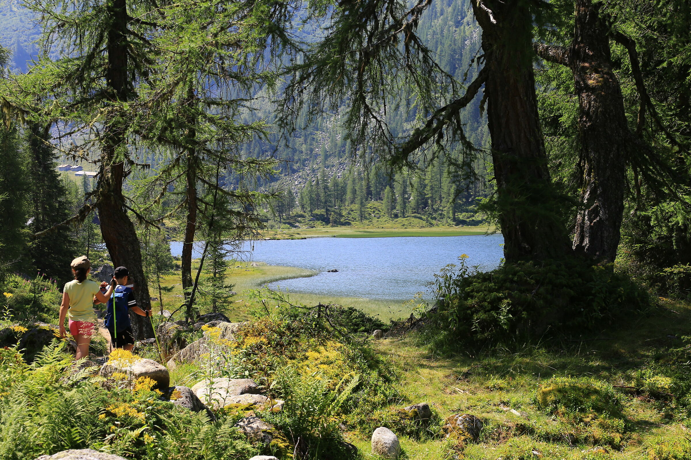 Entrando a S.Giuliano....