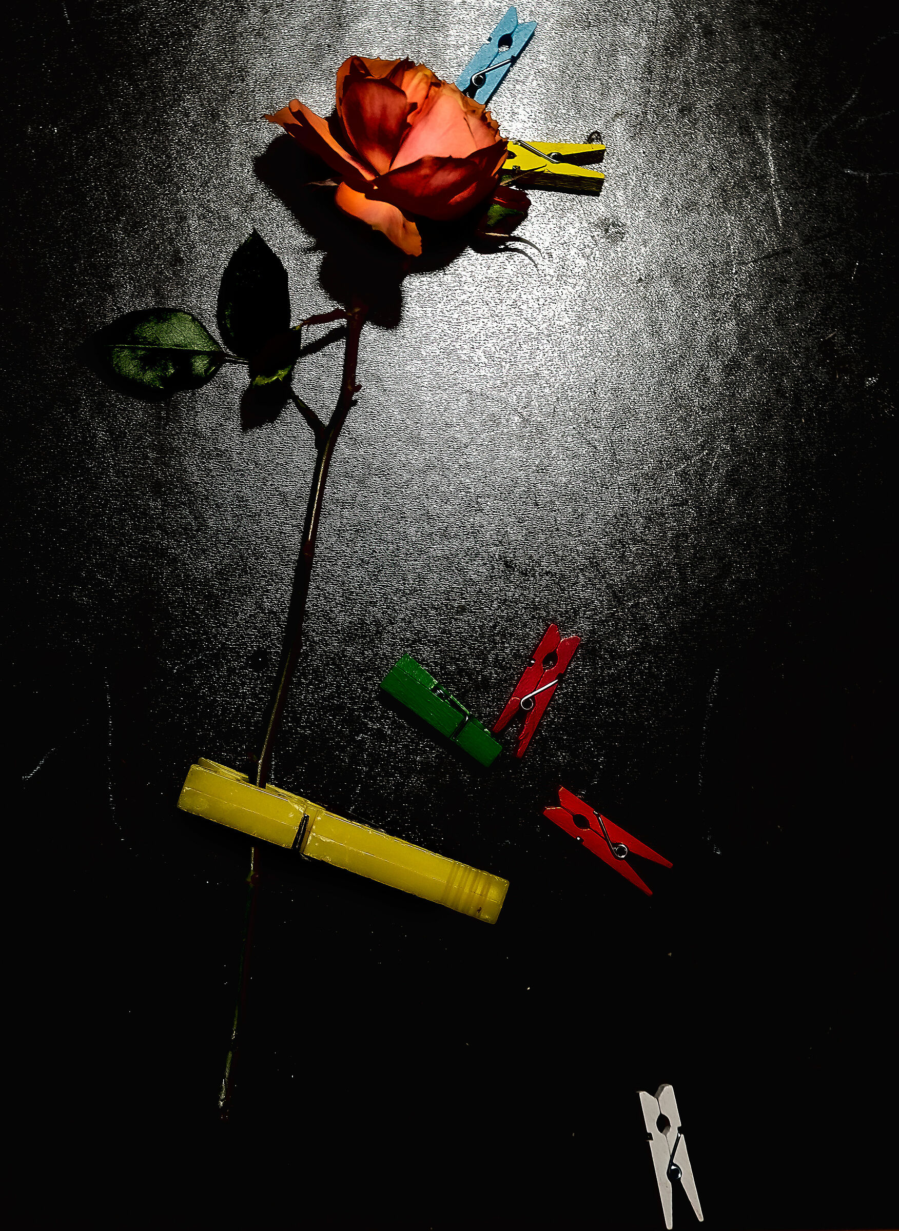 "esperanza" de scappa' dalla clausura