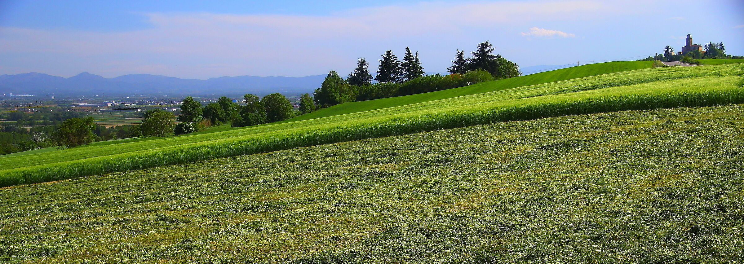 Campagna di Bassignana (al)