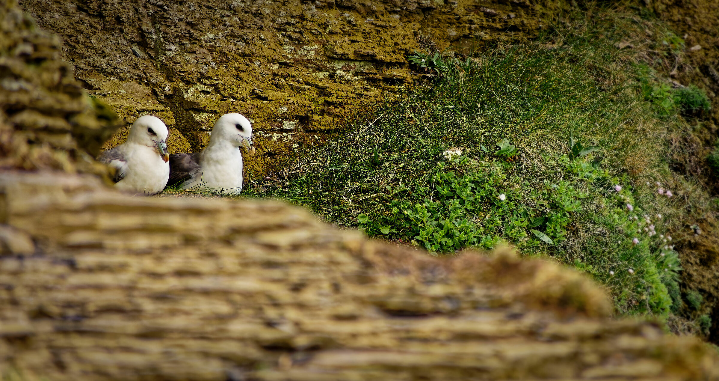Chatty among friends