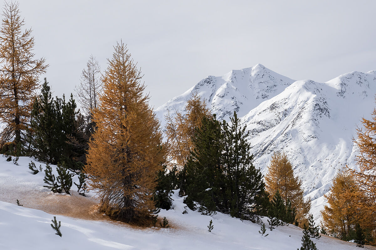 Un pò di giallo