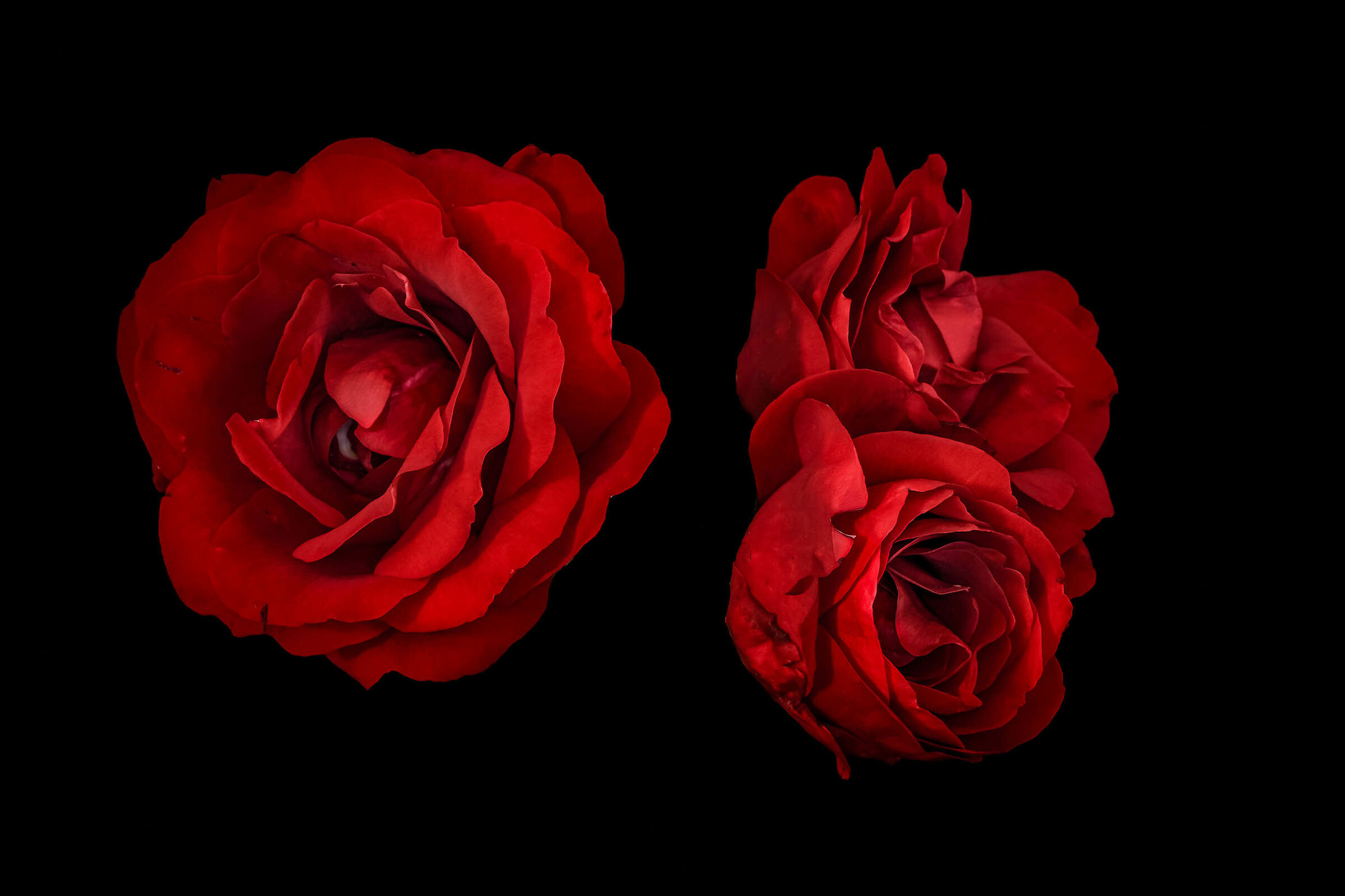 Dedicato alle Donne.