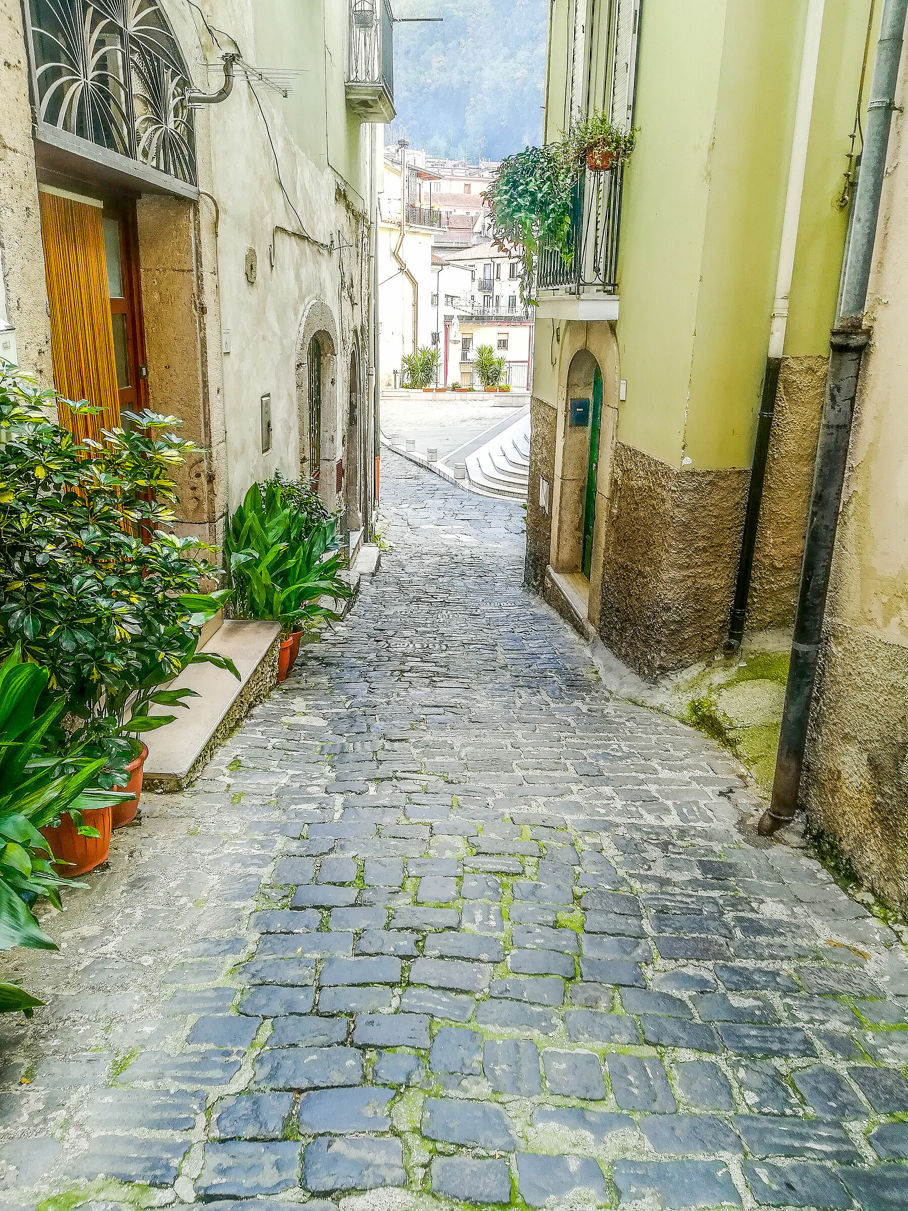 Scorcio di Campagna(SA)