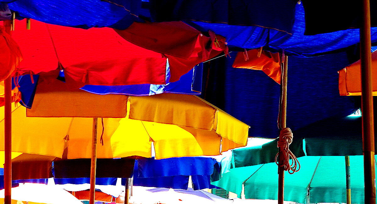 Di tuttti i colori,o quasi!!!