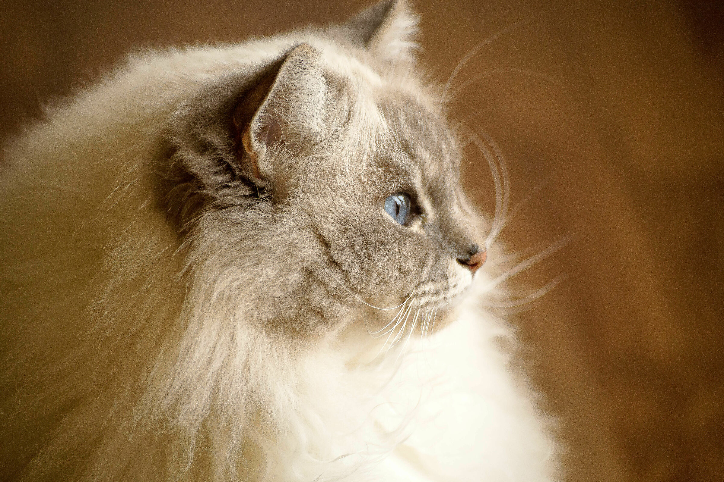 I'm on guard at my bowl....