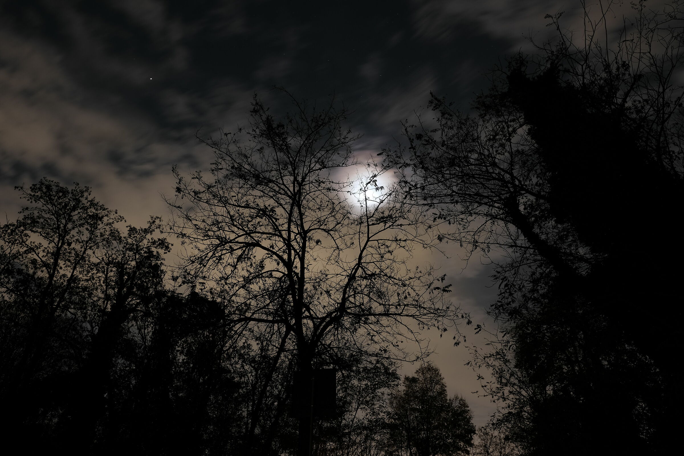 Omens - Xf16 mm25 sec. f/5.6- Iso200