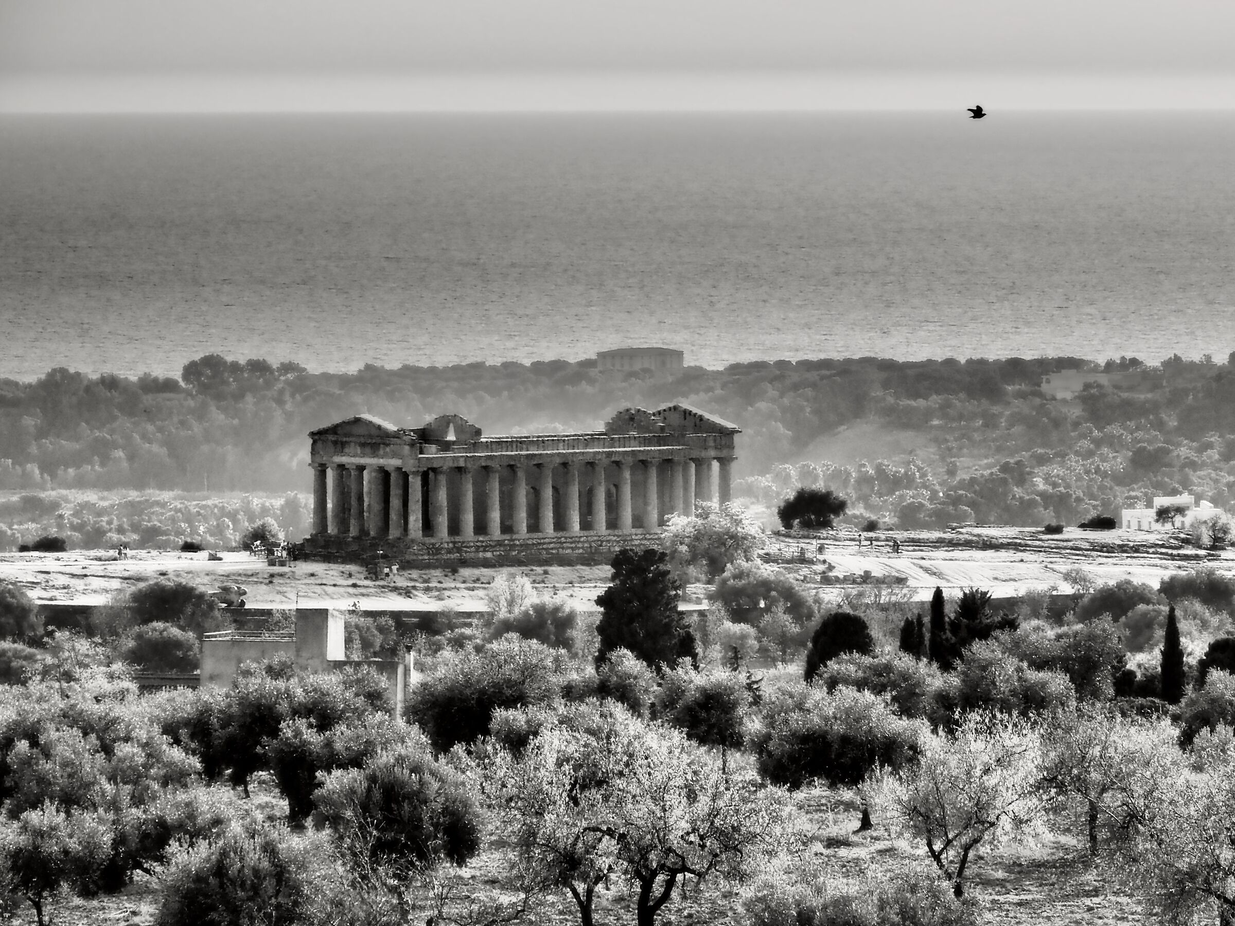 Concordia