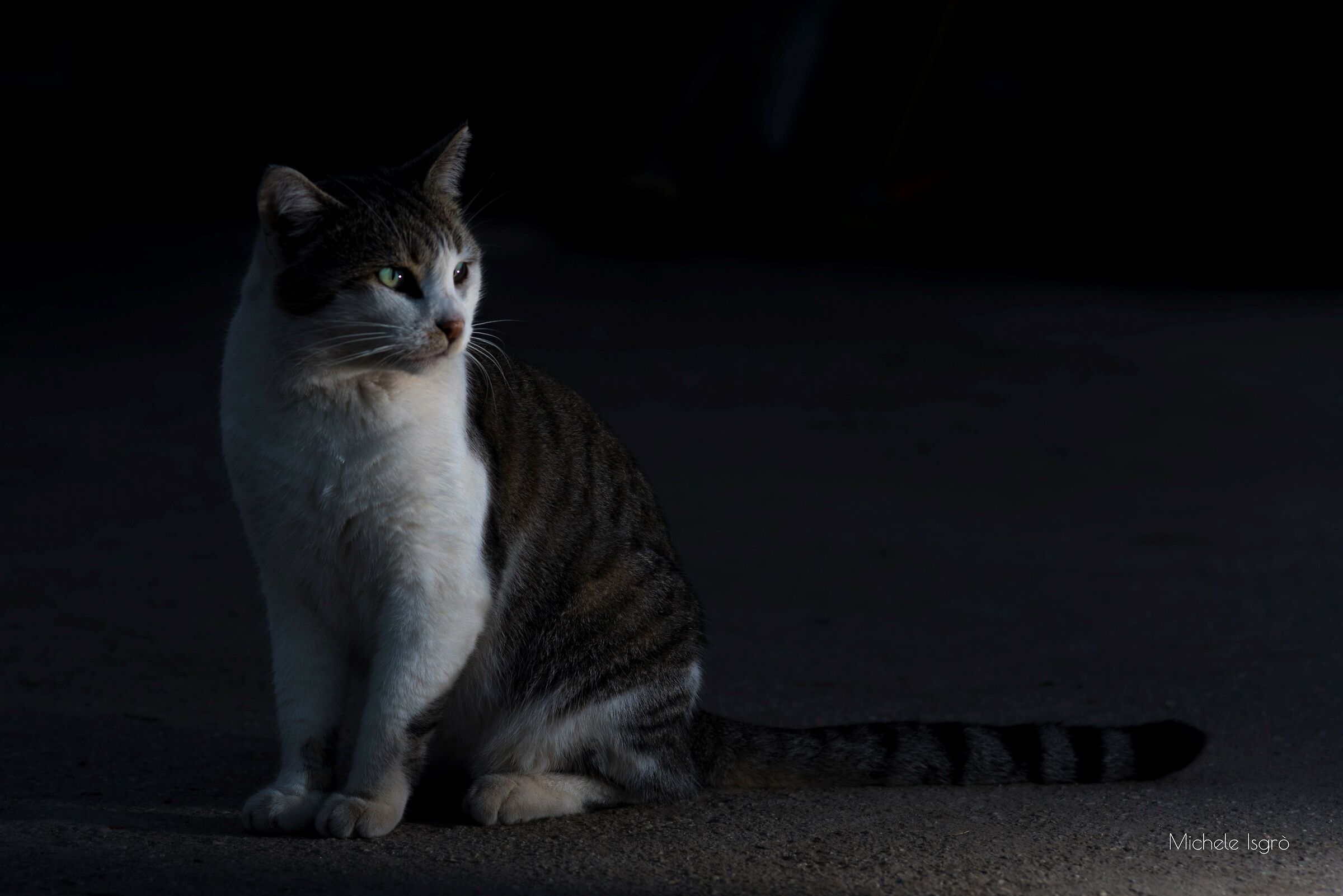 First photo on Juzaphoto try