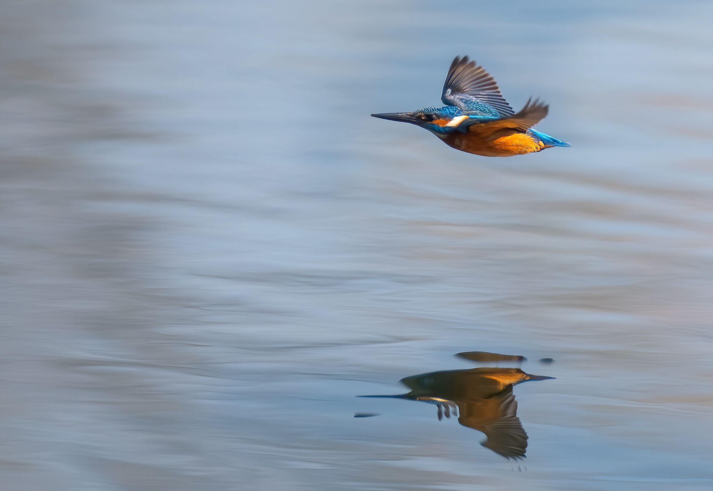 Nella luce mattutina!