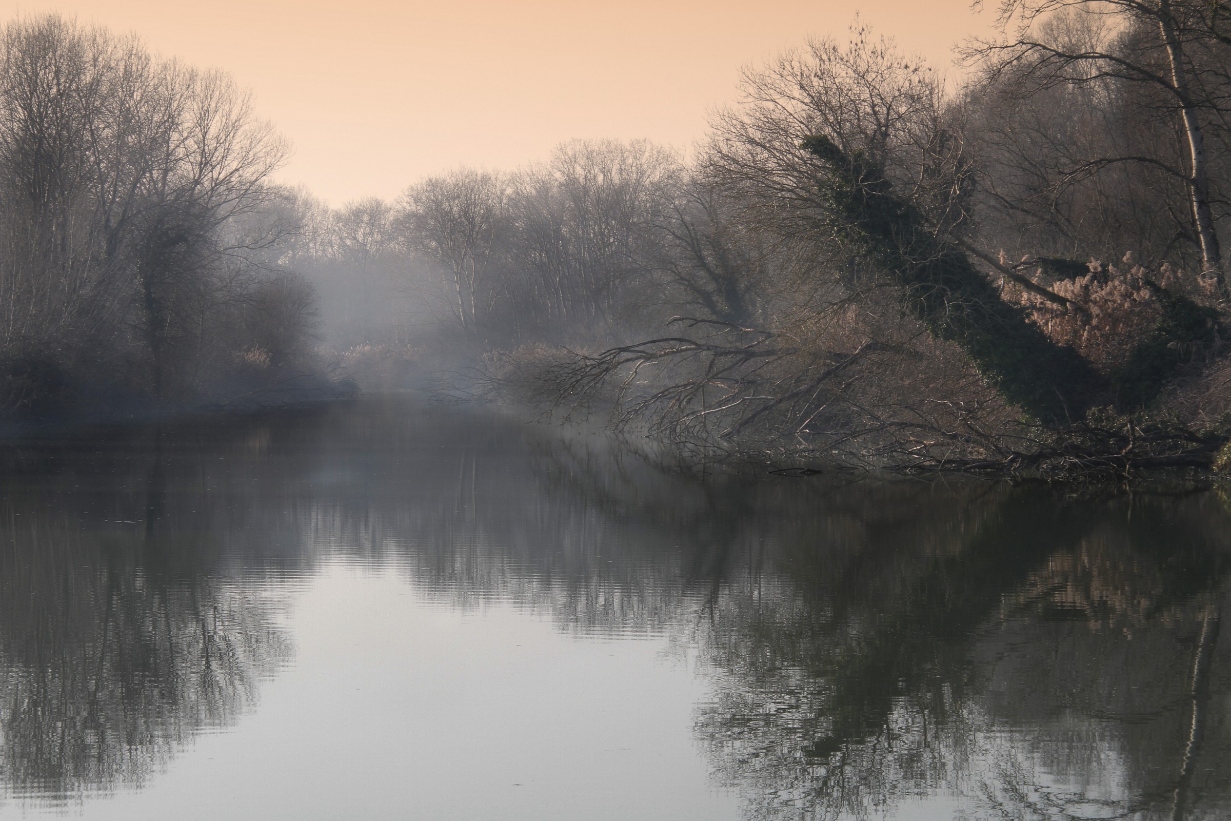 canale a Punta Alberete