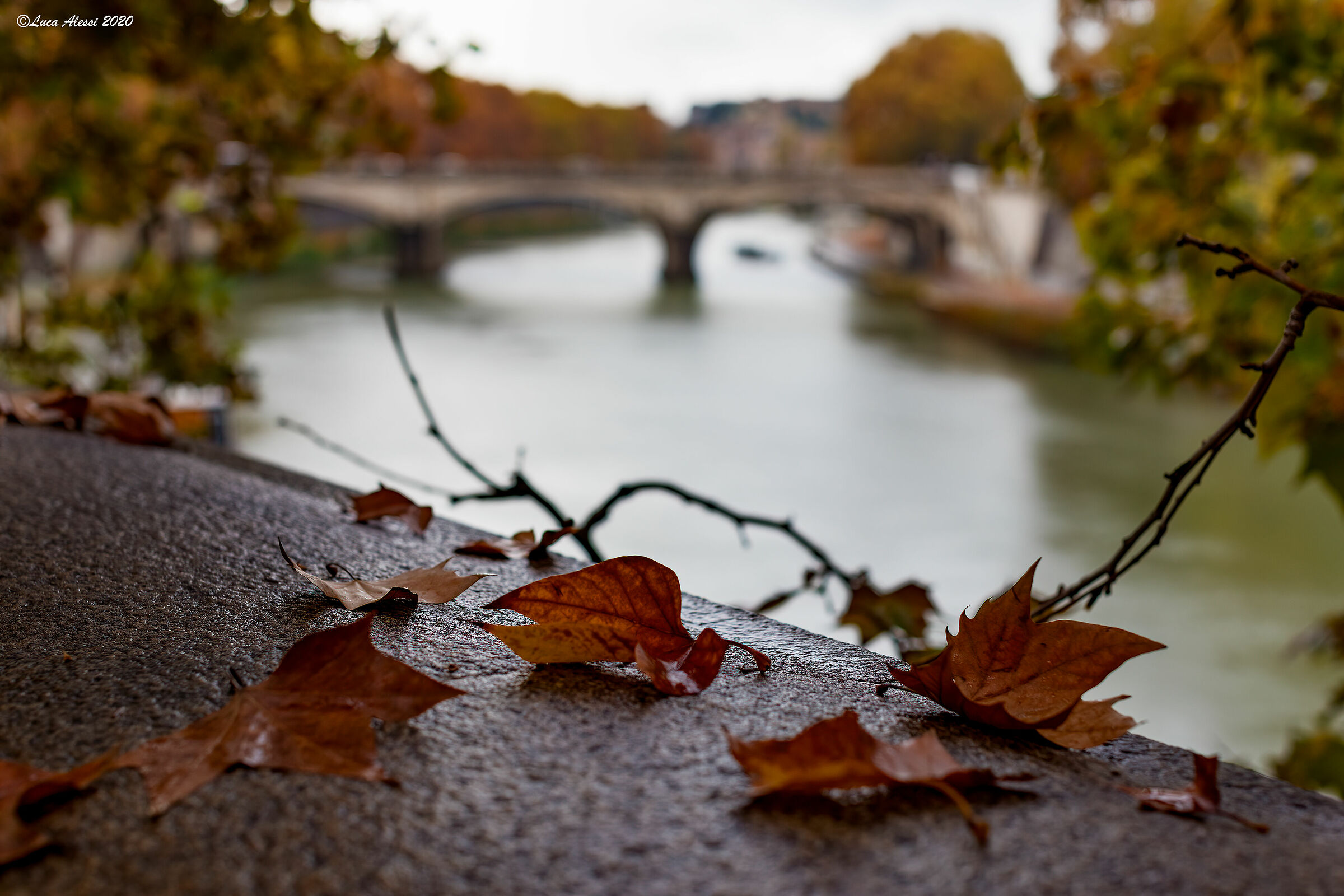Autumn in Rome