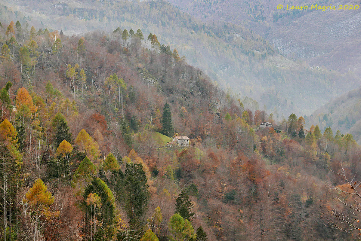 Un autunno dopo Vaia